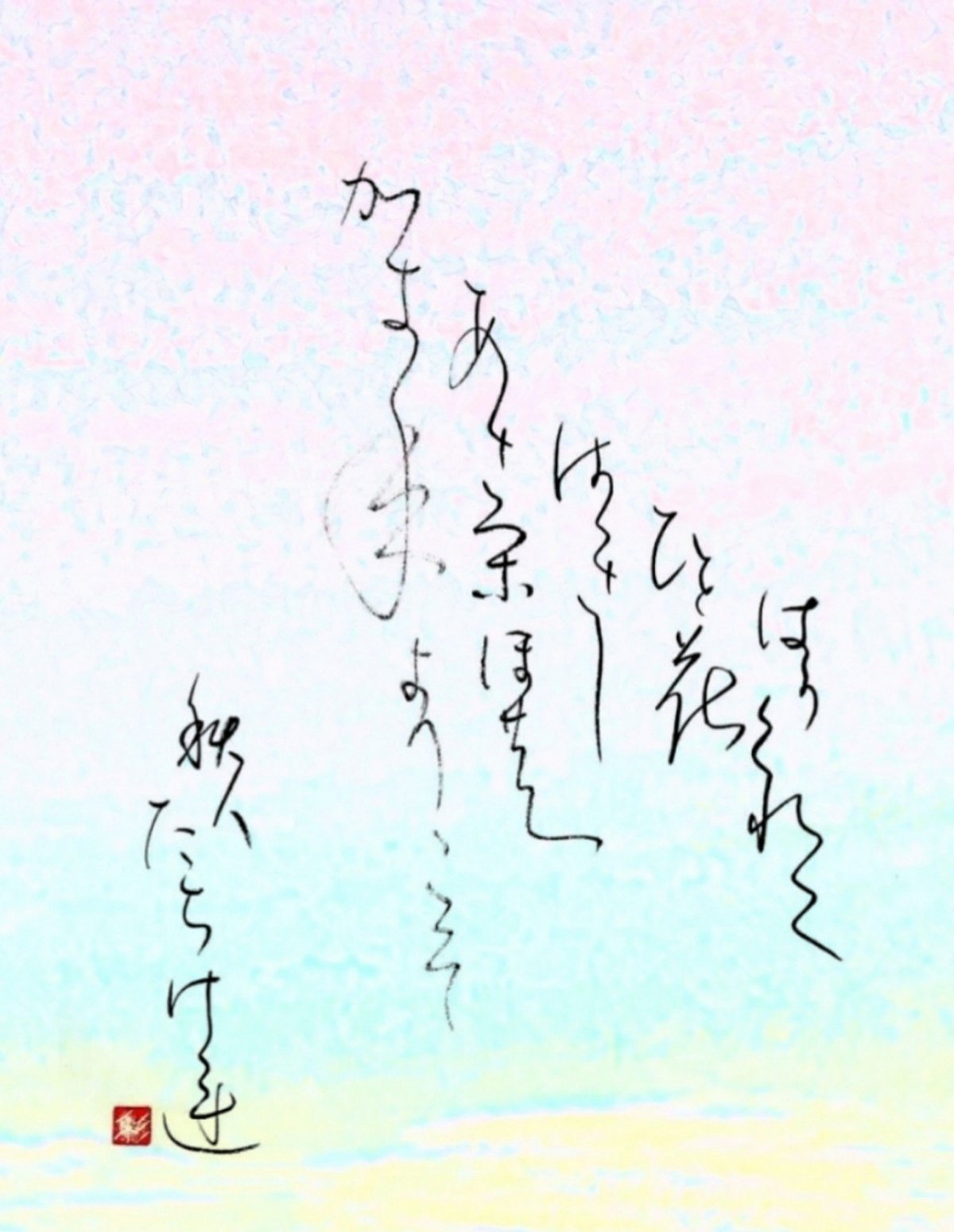樋口彩 