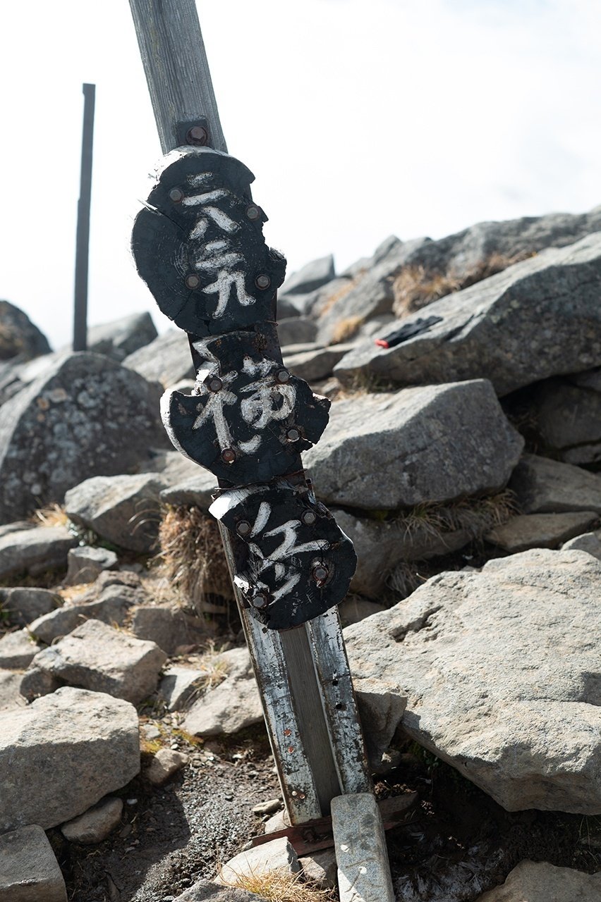 横山秀樹　片口　縦長型 正規】YKKAPシンプレオTBS型 たて格子 片開き専用片開き 門扉を値引45