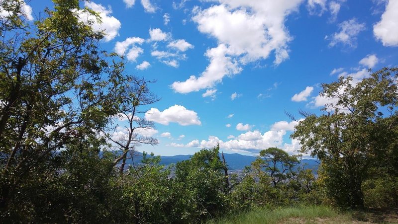 アマゾン火災: 成熟した森林地帯での火災は昨年 152% 増加しました。