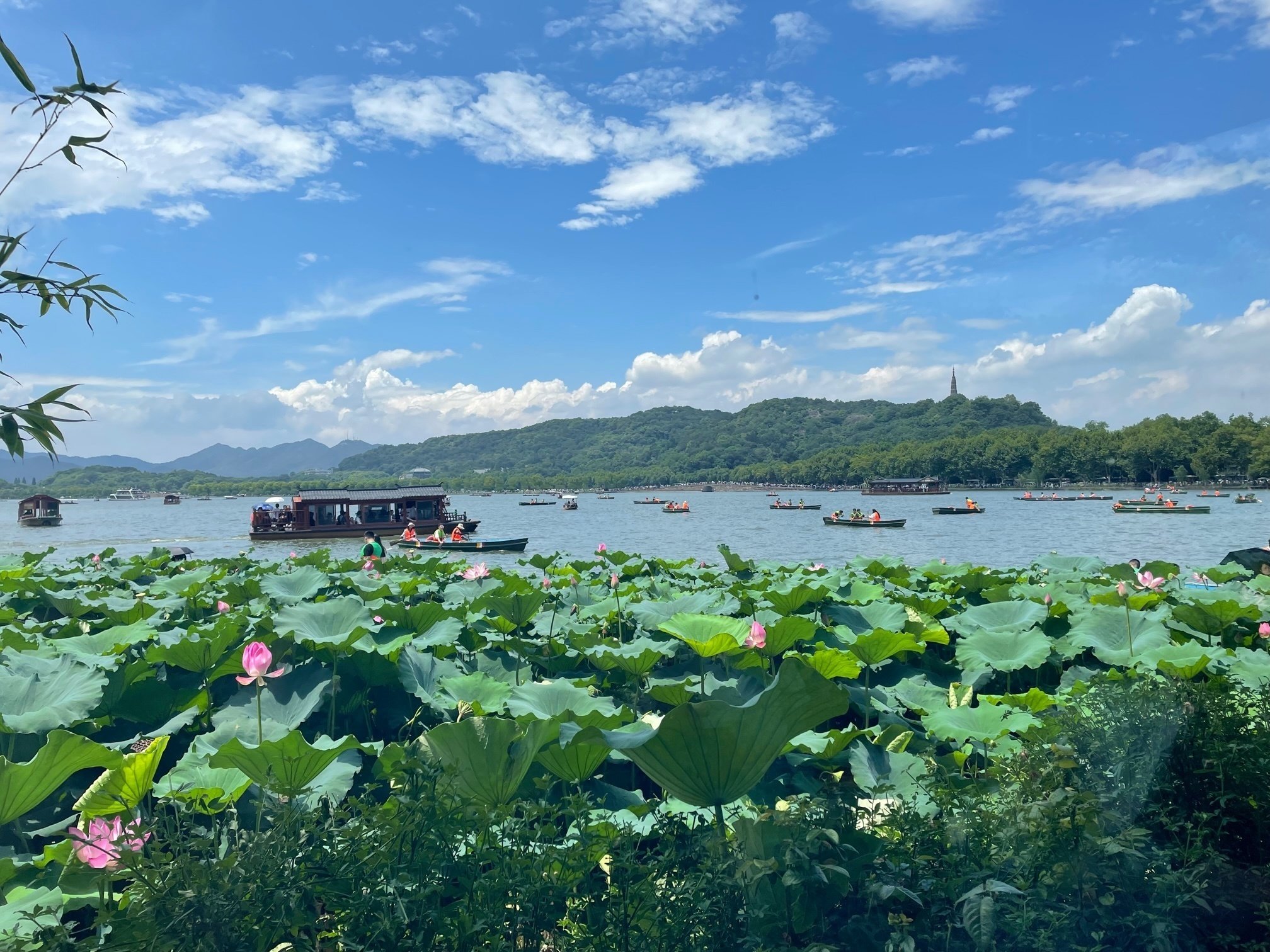 2023夏・中国編】杭州にて｜どんぐりころころ