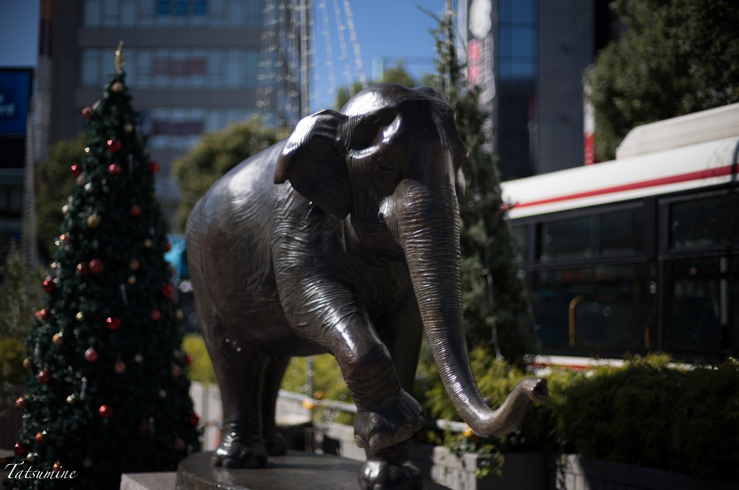 コシナ Voigtlander NOKTON 50mm F1.1を購入したので撮ってきました