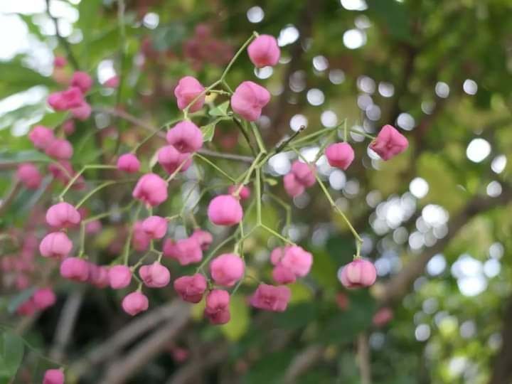 真由美vs吊花真弓｜続気楽な散歩。(散歩と呼んで下さい)