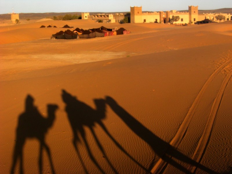砂漠の奥にはオーベルジュ、それに向かって歩くらくだの影