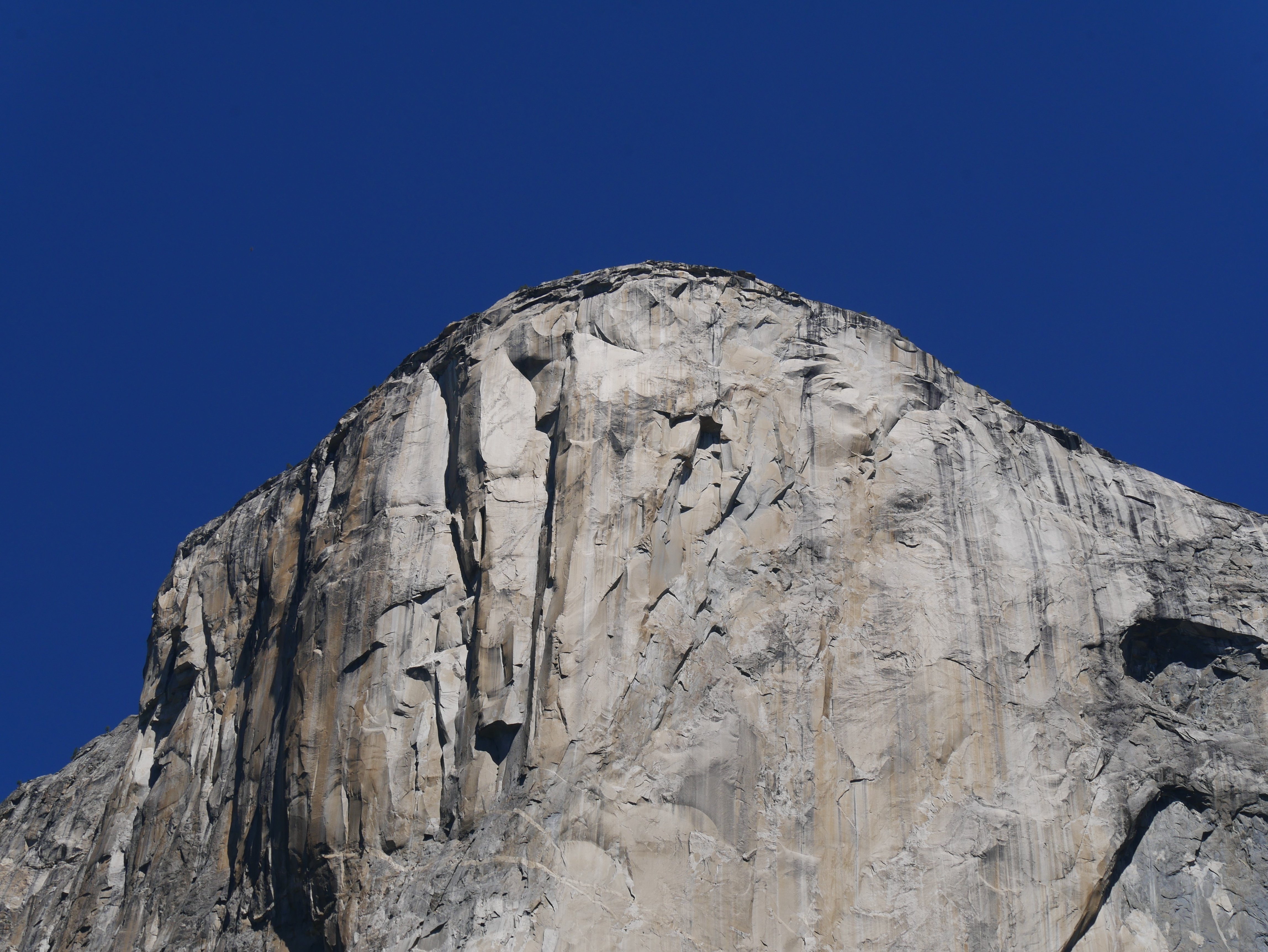 タイオガロードでヨセミテへ（Yosemite National Park