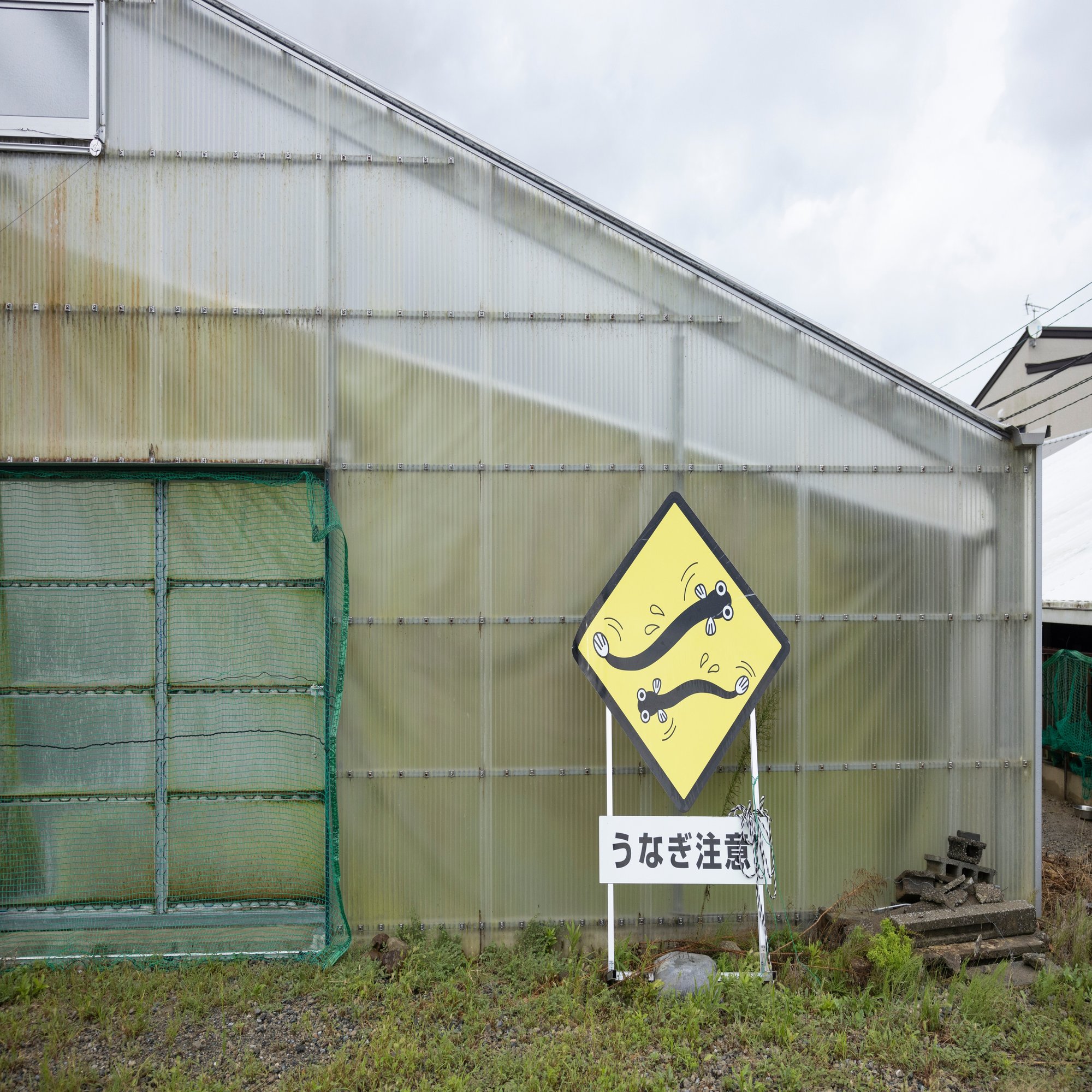 静岡】うなぎと「ぼくめし」｜せちラボ