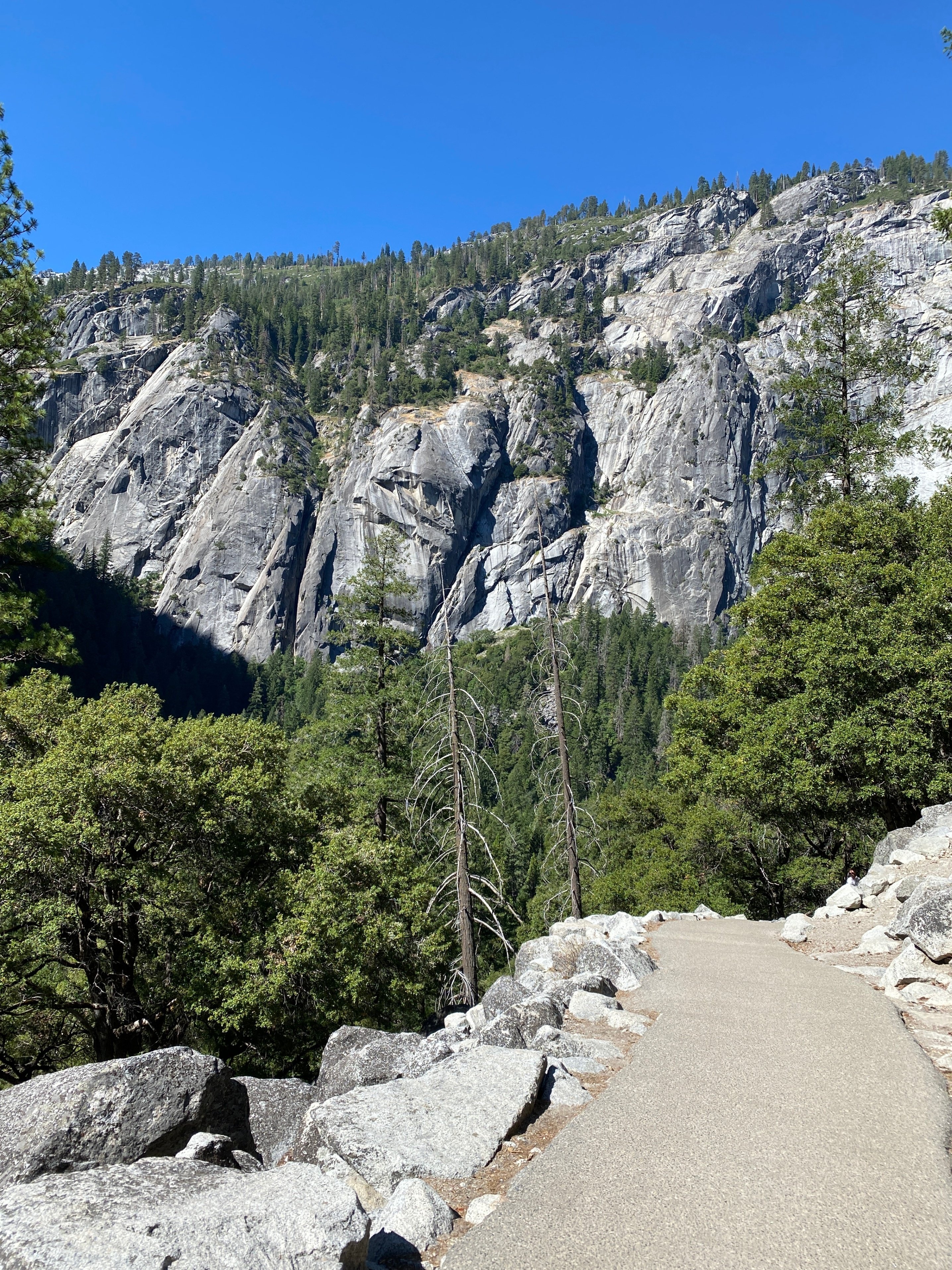 タイオガロードでヨセミテへ（Yosemite National Park