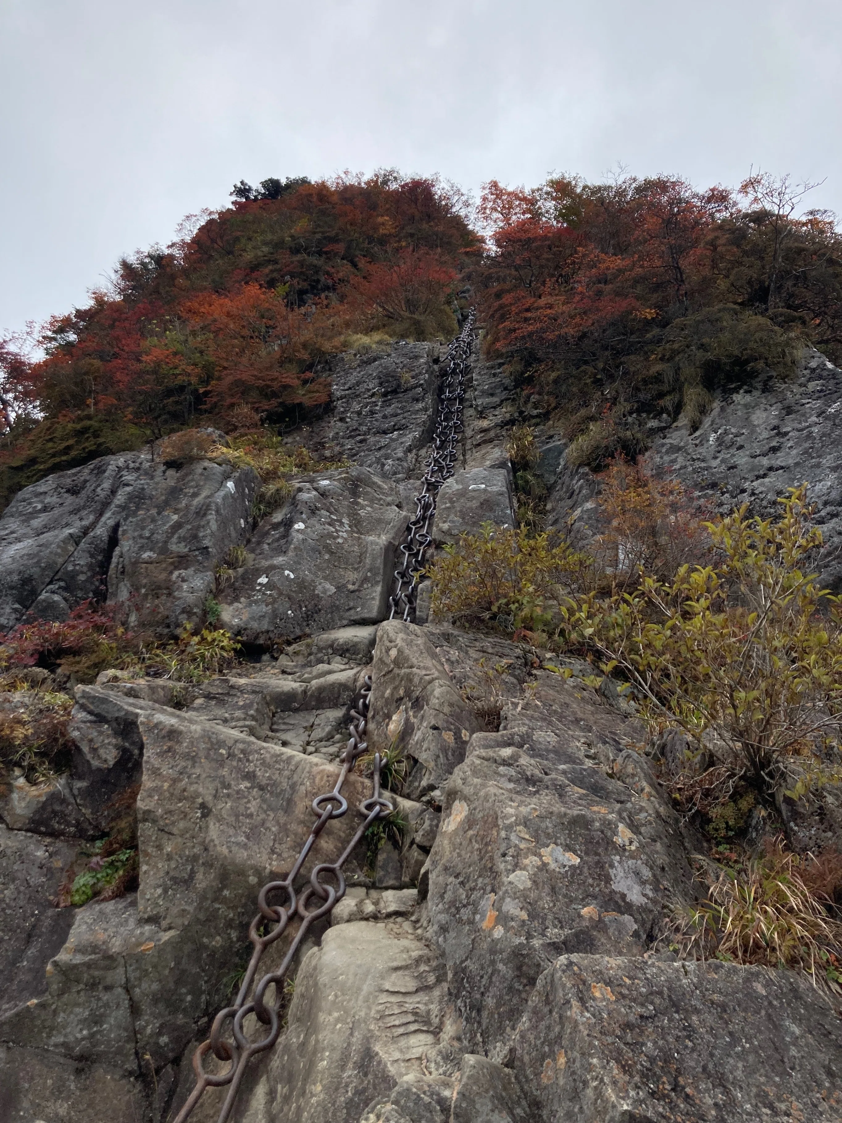 山の錦』の石鎚山｜みどり