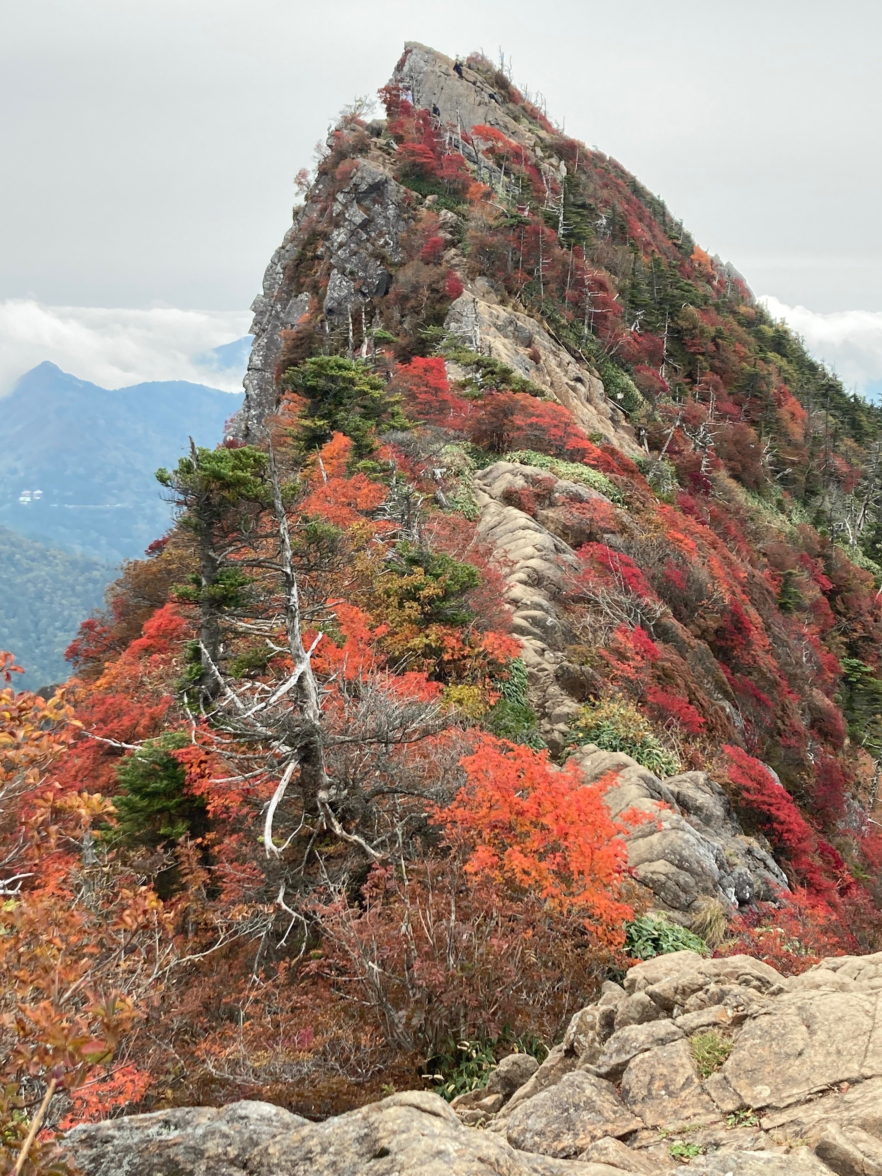 山の錦』の石鎚山｜みどり