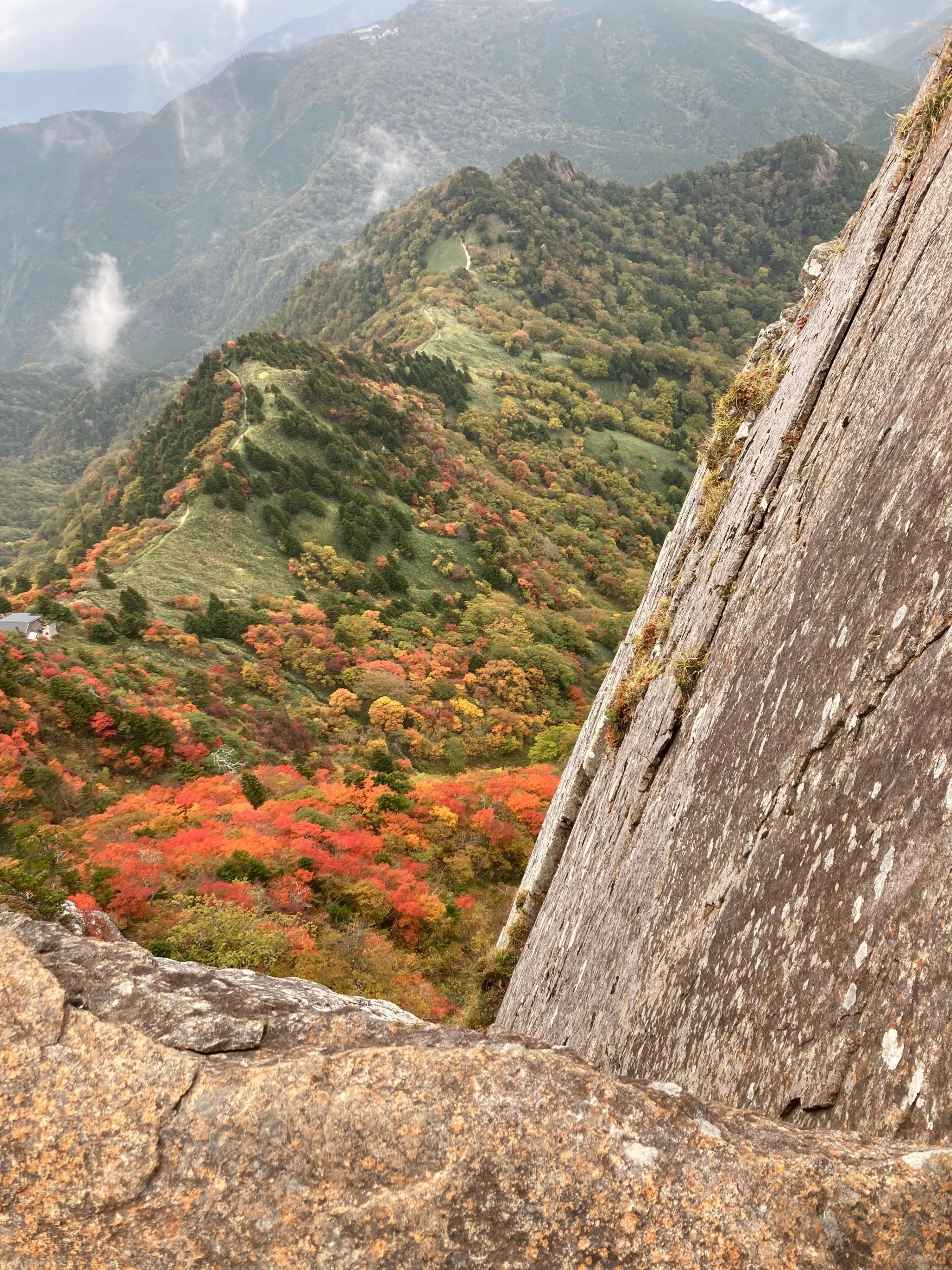 山の錦』の石鎚山｜みどり