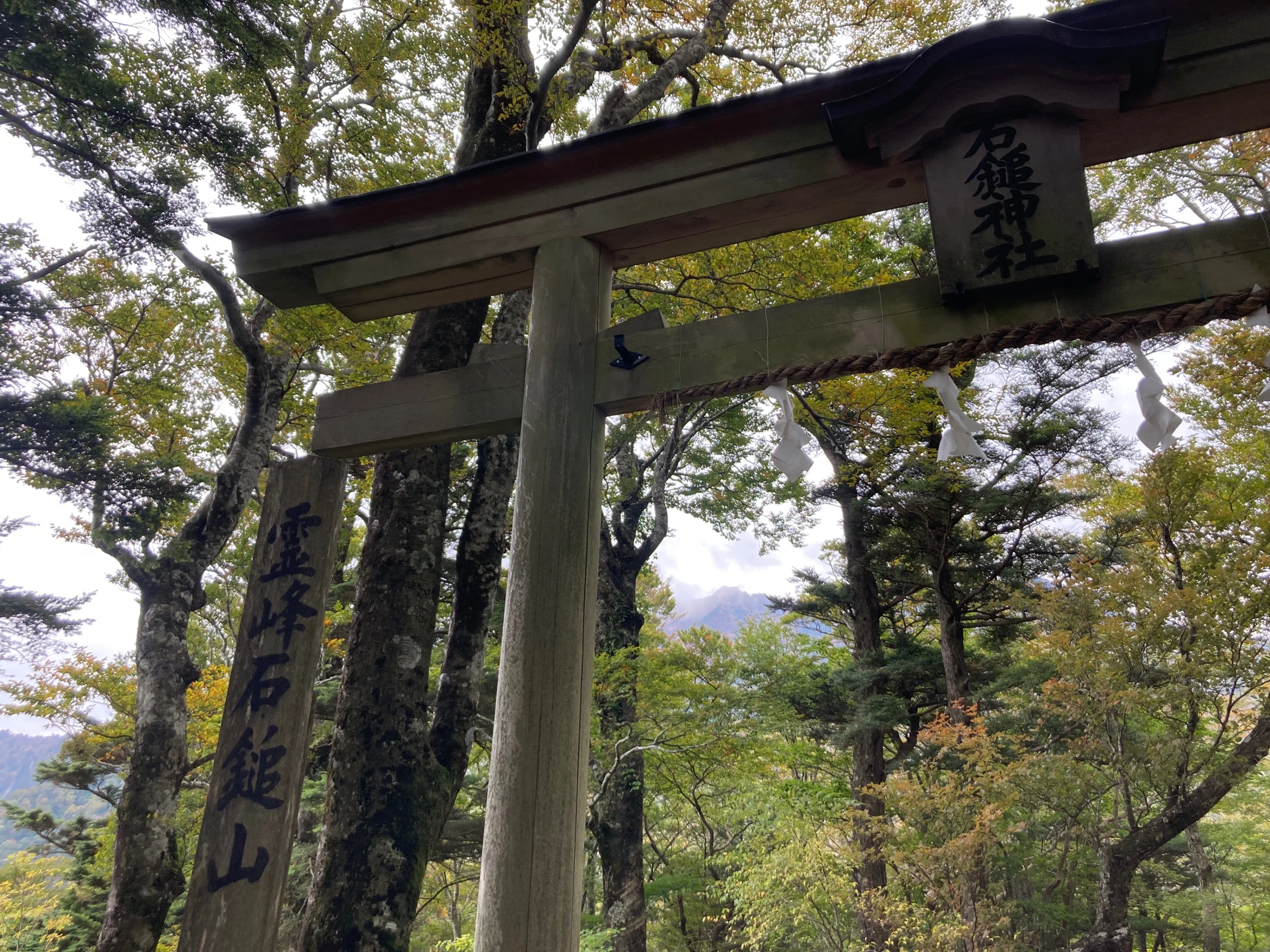 山の錦』の石鎚山｜みどり