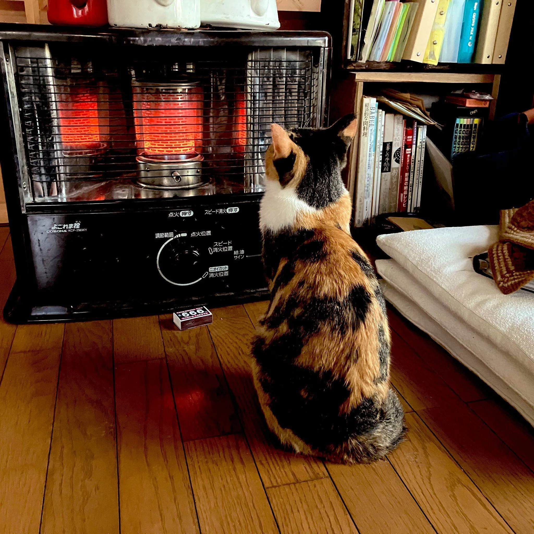 秋の風物詩】朝露で濡れた体をストーブで乾かしている猫ちゃん、その