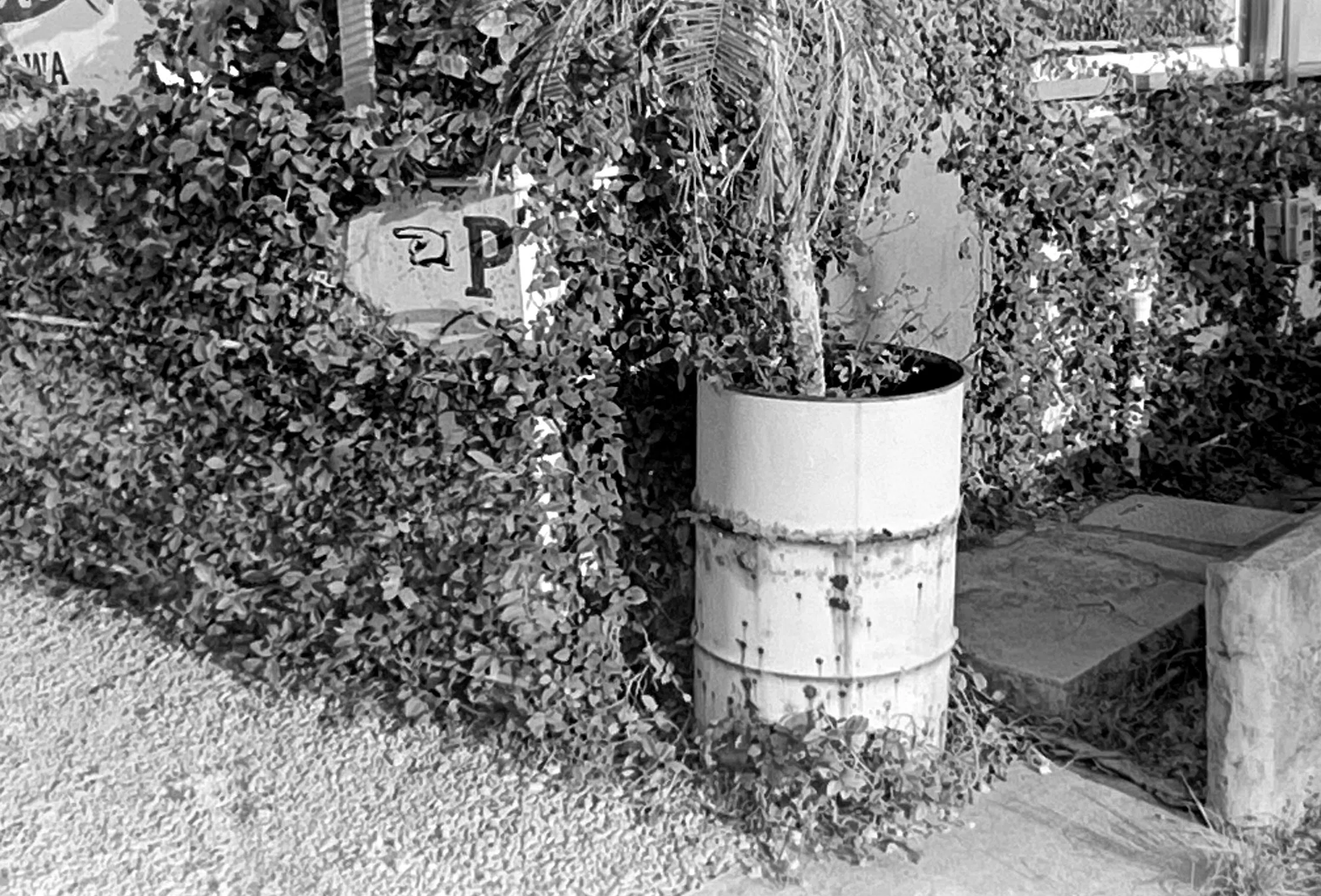 私のお気に入りのカメラ、その2 Kodak Retina IIa｜ミヤモト