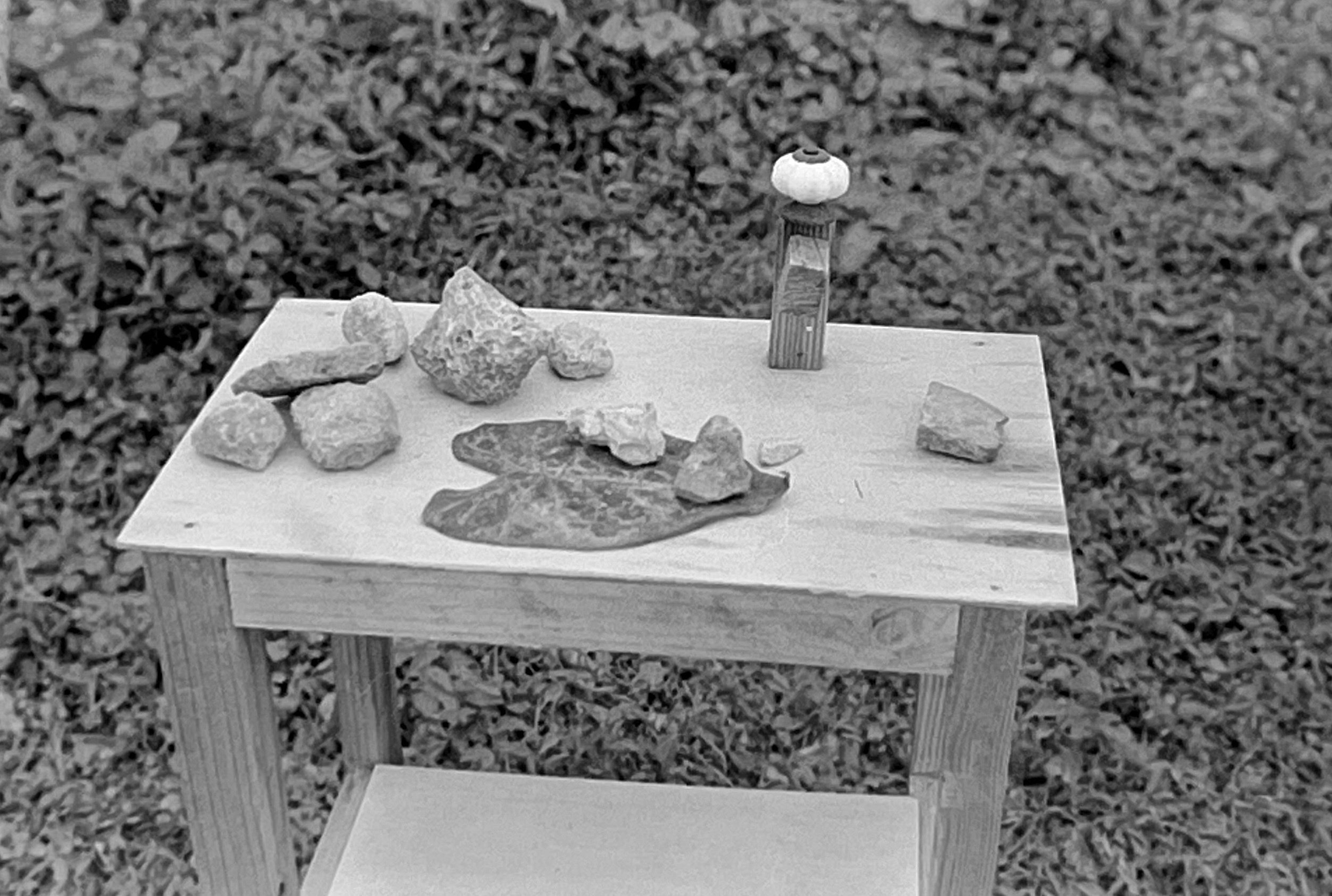 私のお気に入りのカメラ、その2 Kodak Retina IIa｜ミヤモト