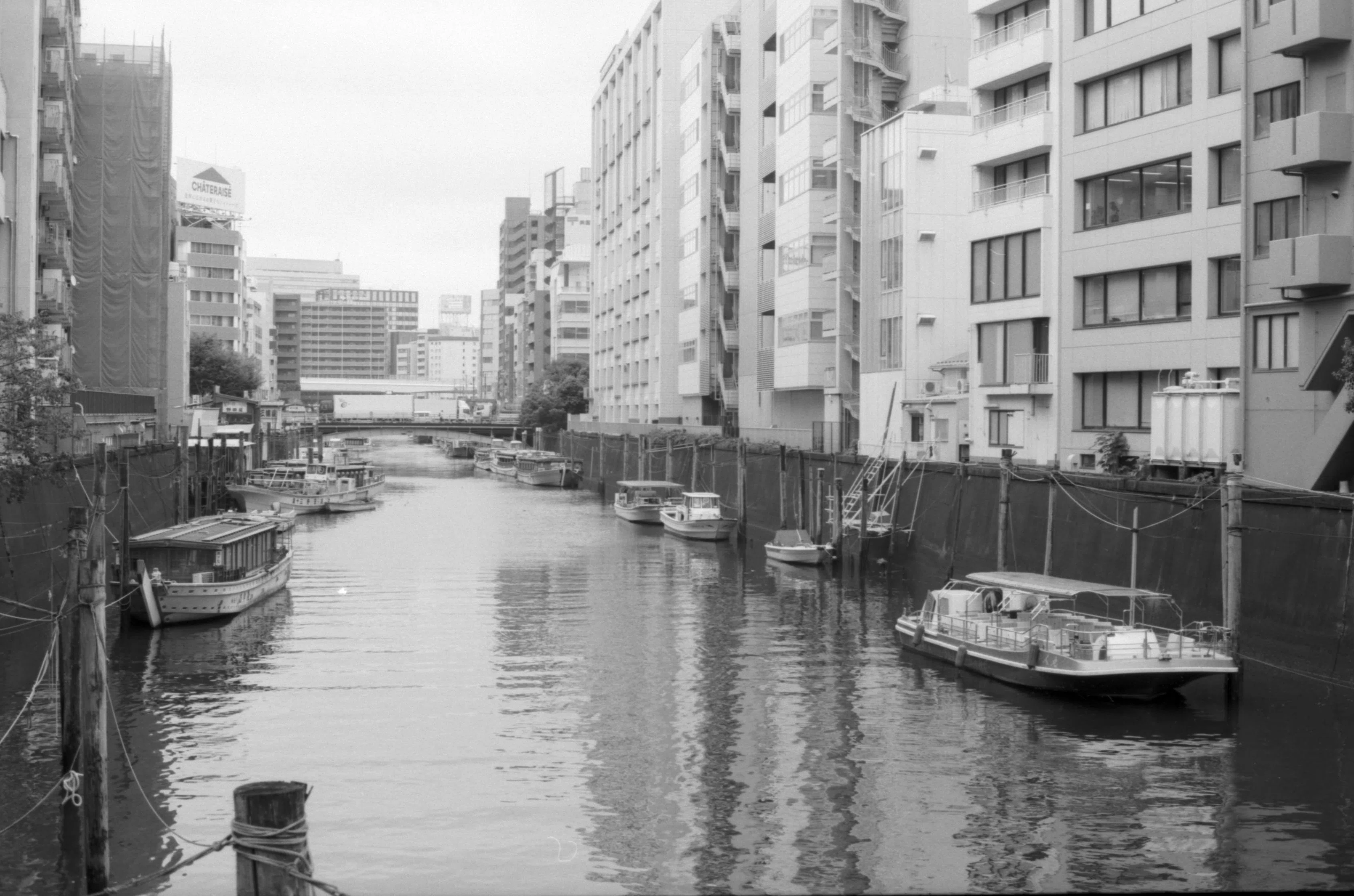 神田川|kirin