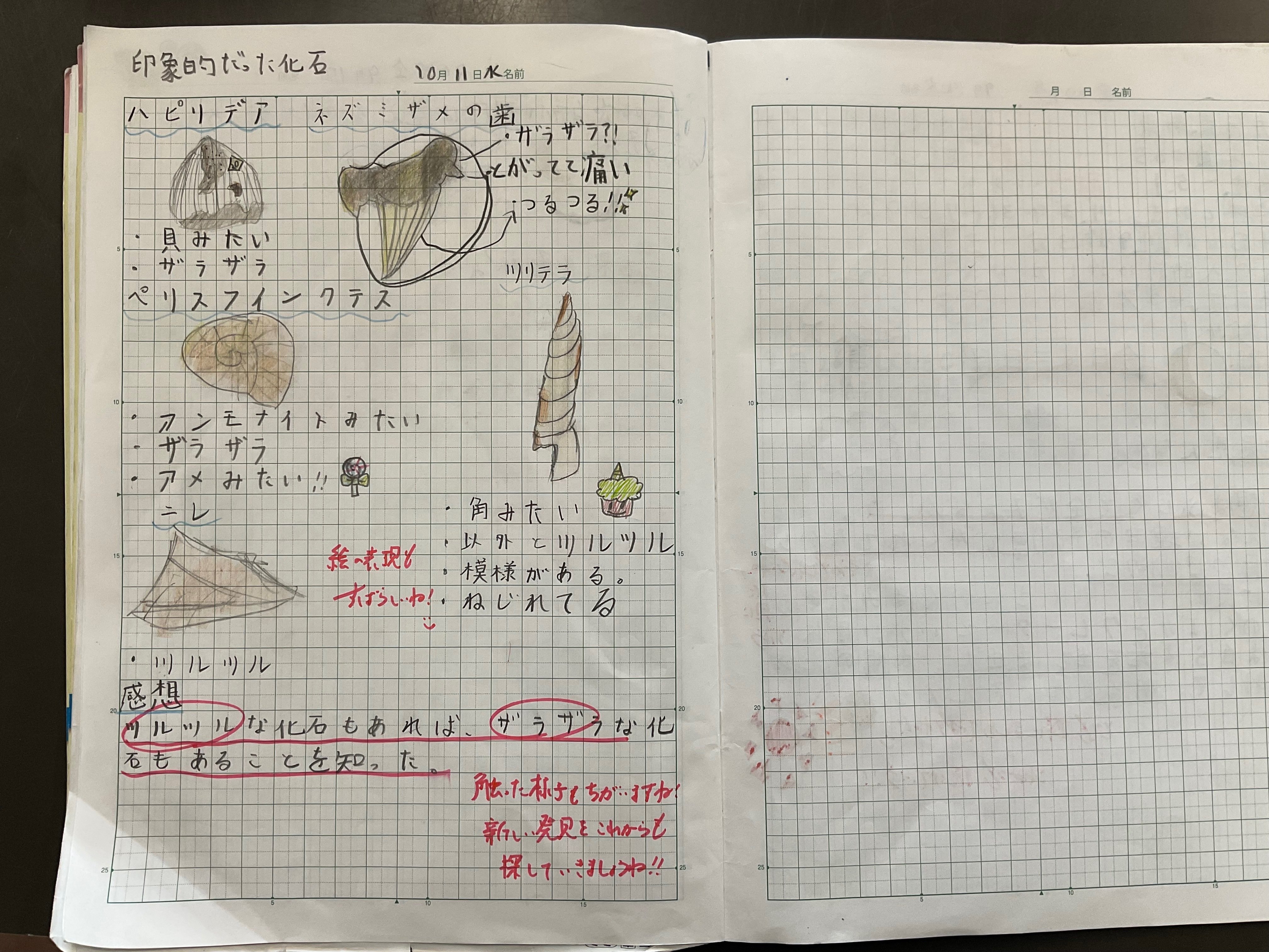 6年生 理科｜穴師小学校