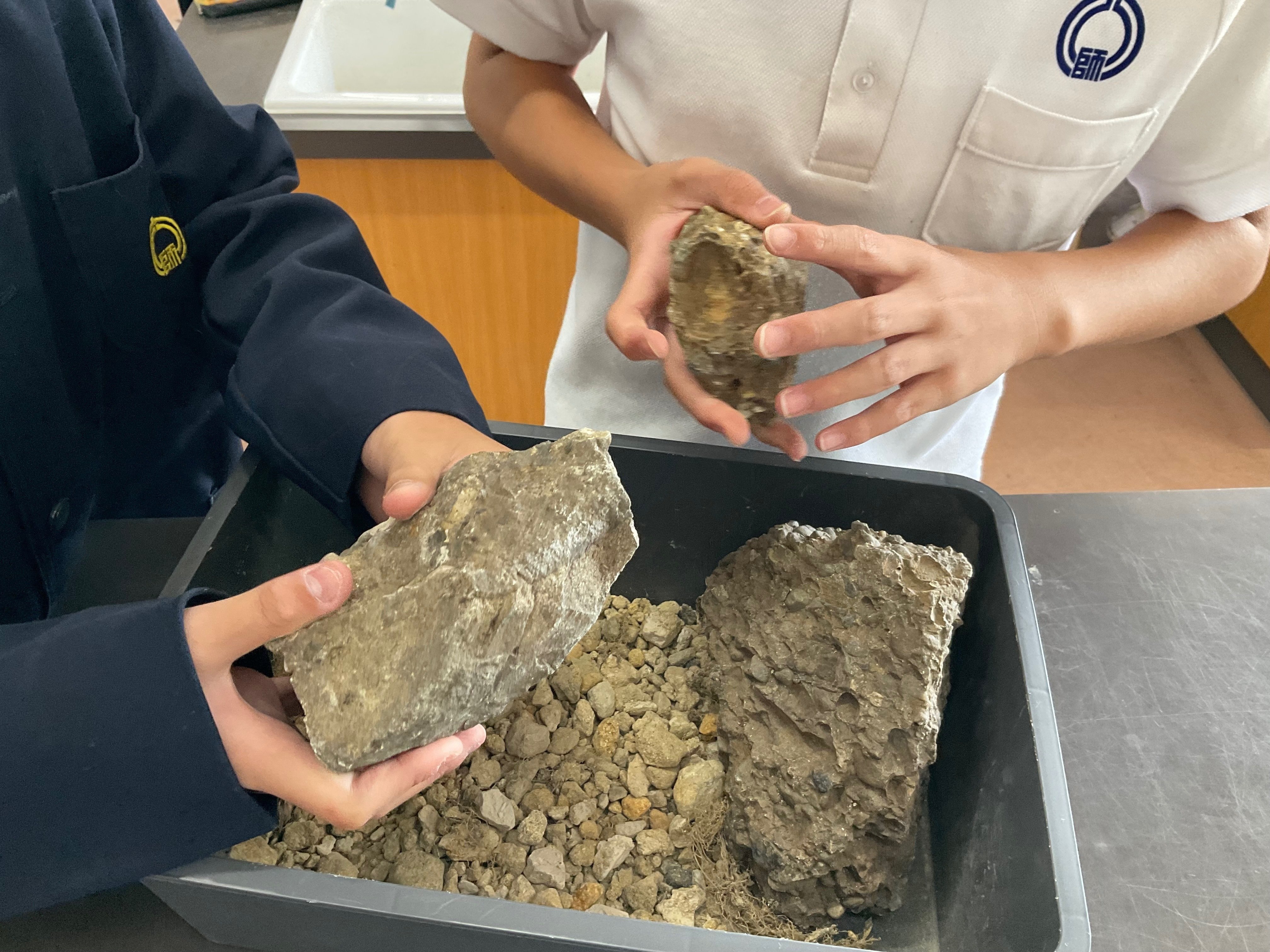 6年生 理科｜穴師小学校