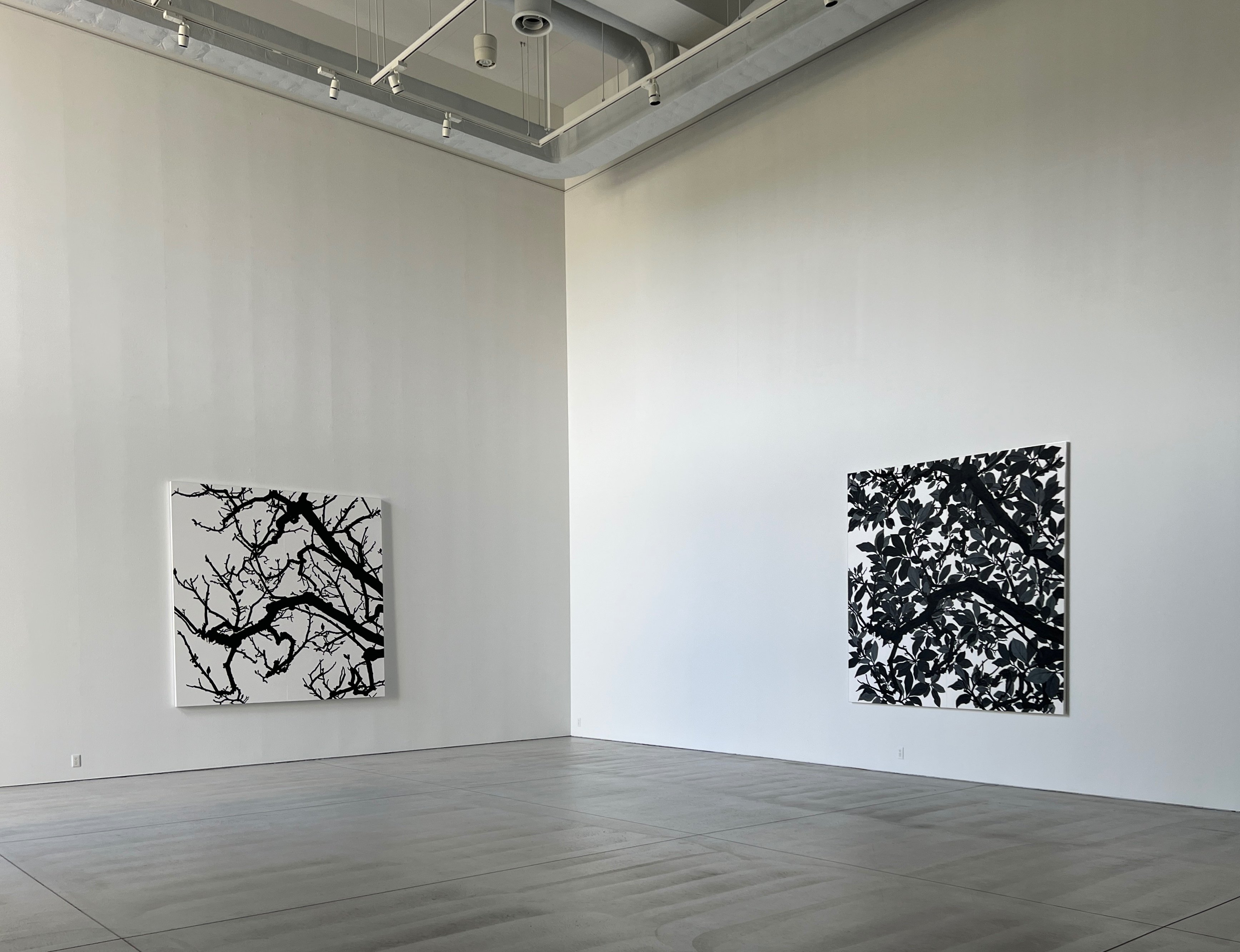 自然光で日高理恵子の「空」を見る｜多摩美術大学芸術学科フィールド