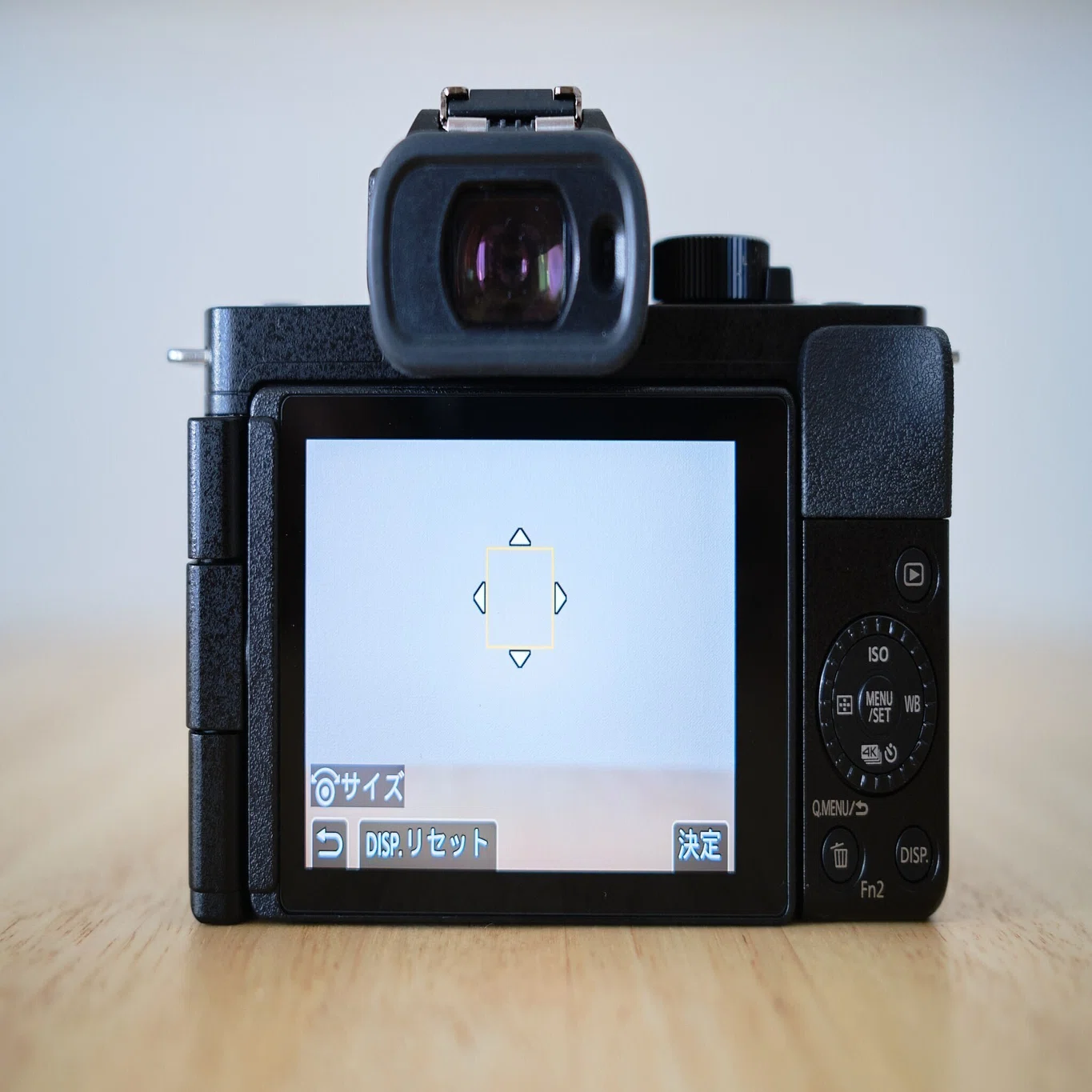 LUMIX G100写真機としての購入を迷っている方へ｜SHINTARO