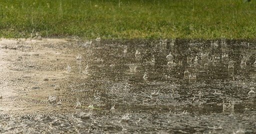 地面に強く打ち付ける雨