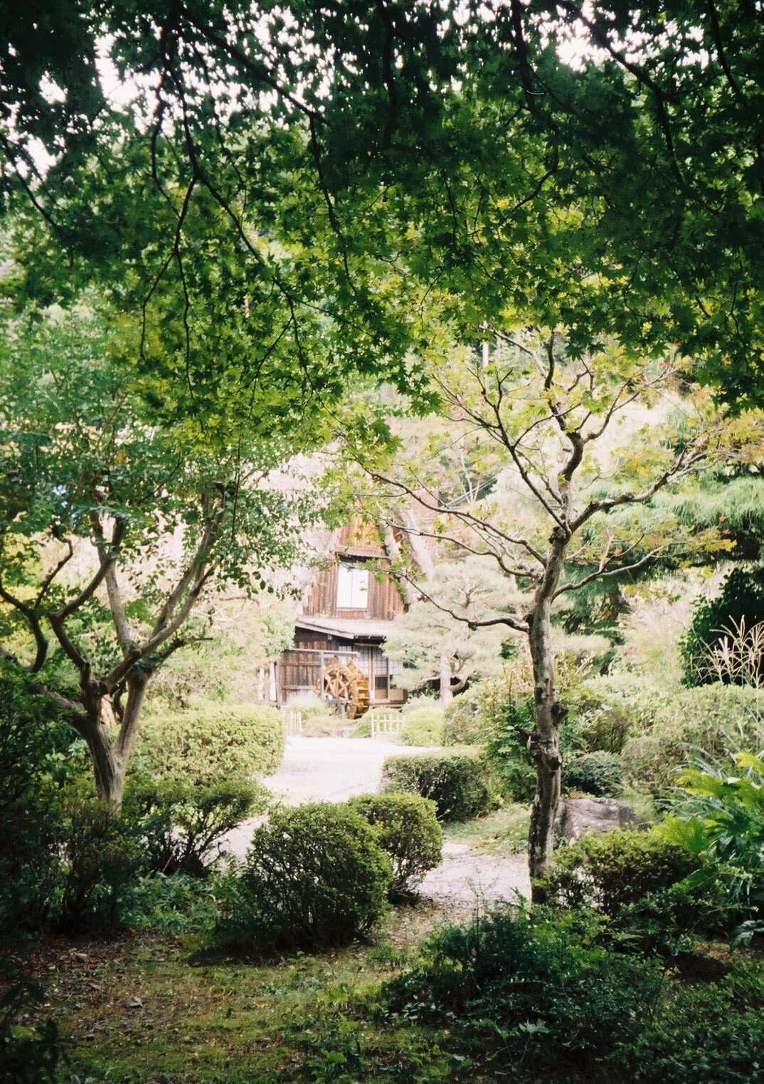 OLYMPUS Pen EES-2の撮影見本｜ごん色カメラ