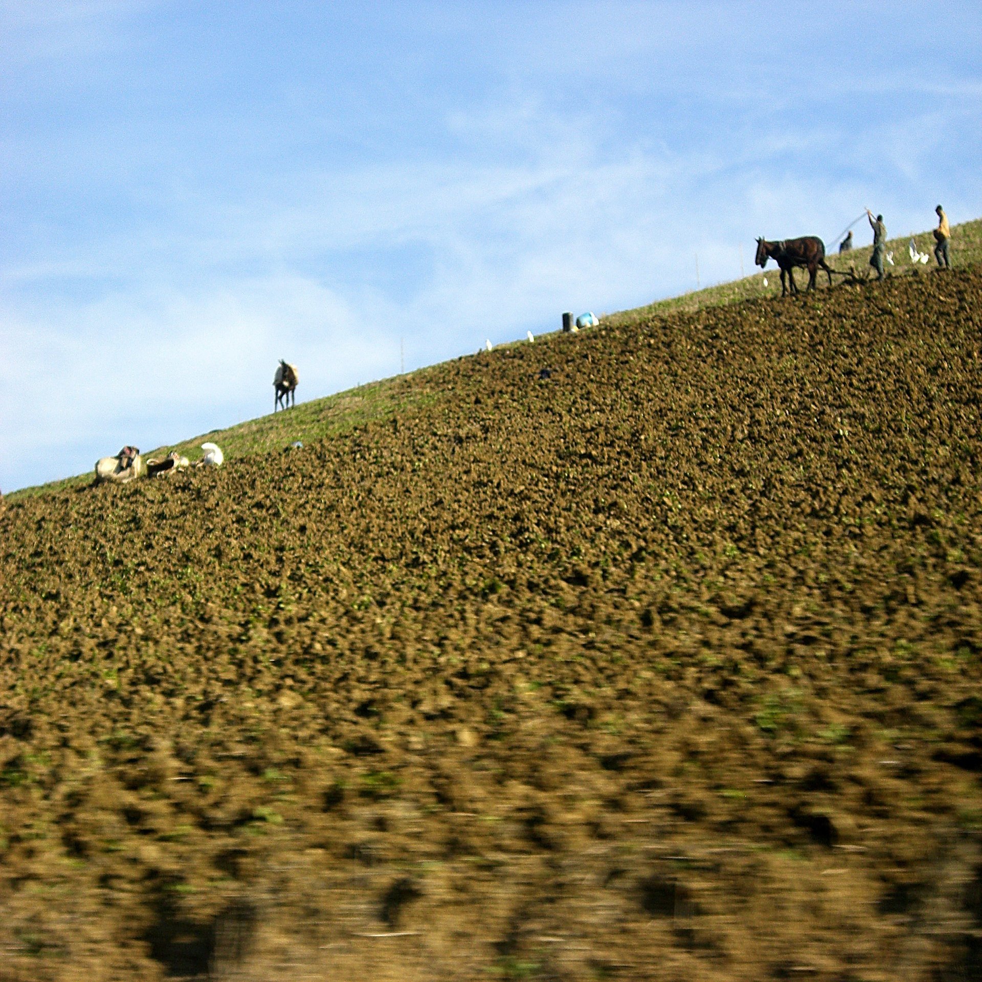 モロッコ旅行記⑫ ８日目「青の街シェフシャウエン」｜翁まひろ