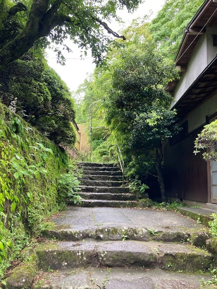 【アルバム】箱根小涌園三河屋旅館|やまいつ