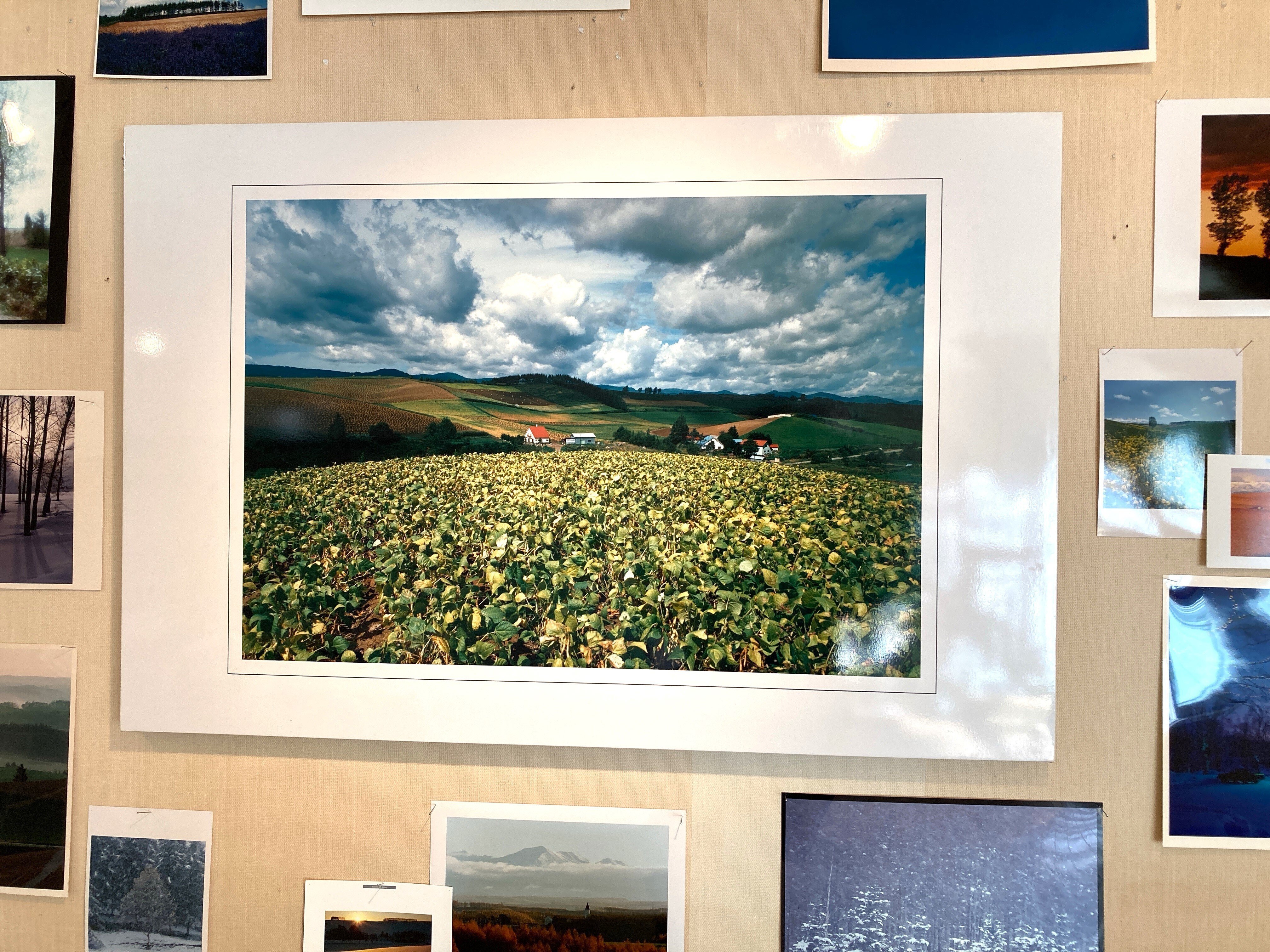 美瑛が誇る巨匠・前田真三『丘から丘へ』展｜ヨーコJAPAN