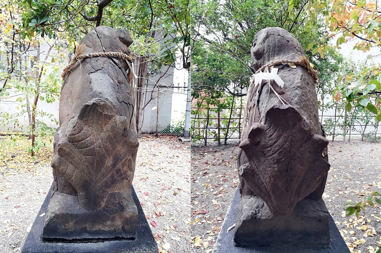 大阪市の神社と狛犬 ⑯天王寺区 ④堀越神社～寛政の隠居狛犬～｜komajin