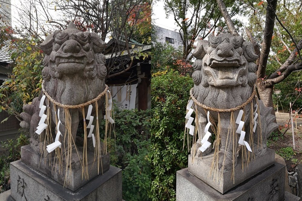 堀越神社 狛犬二体