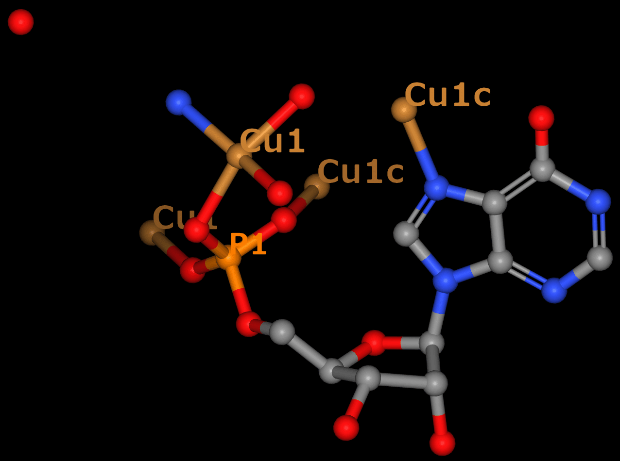 イノシン酸銅(II)一水和物|野口 大介(のぐち だいすけ)