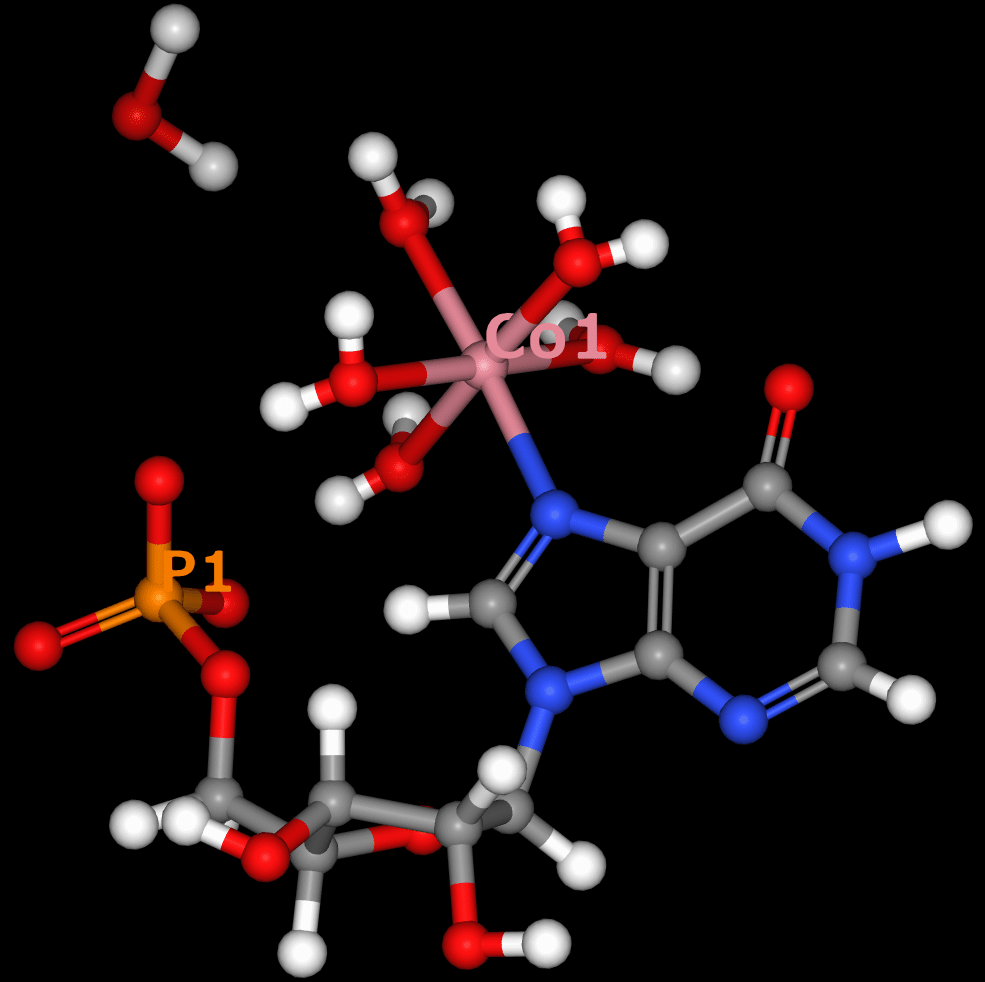 ペンタアクアイノシン酸コバルト(II)二水和物|野口 大介(のぐち だいすけ)