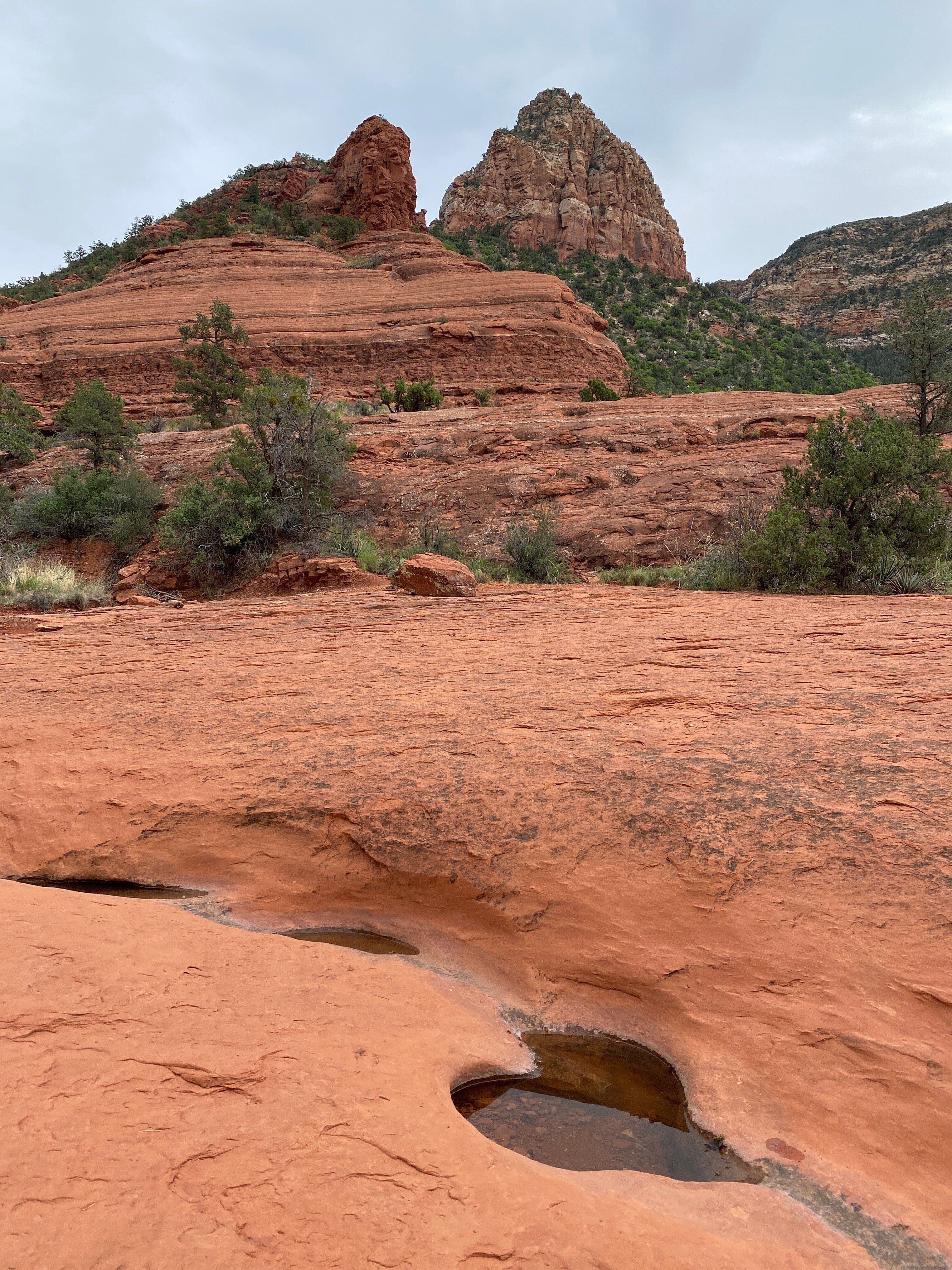 やっぱり奇岩好き。 Chapel Trail〜Little Horse Trail / セドナ