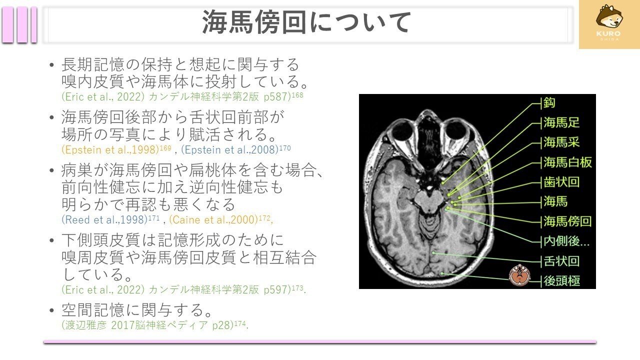 帯状束について｜くろ 作業療法士