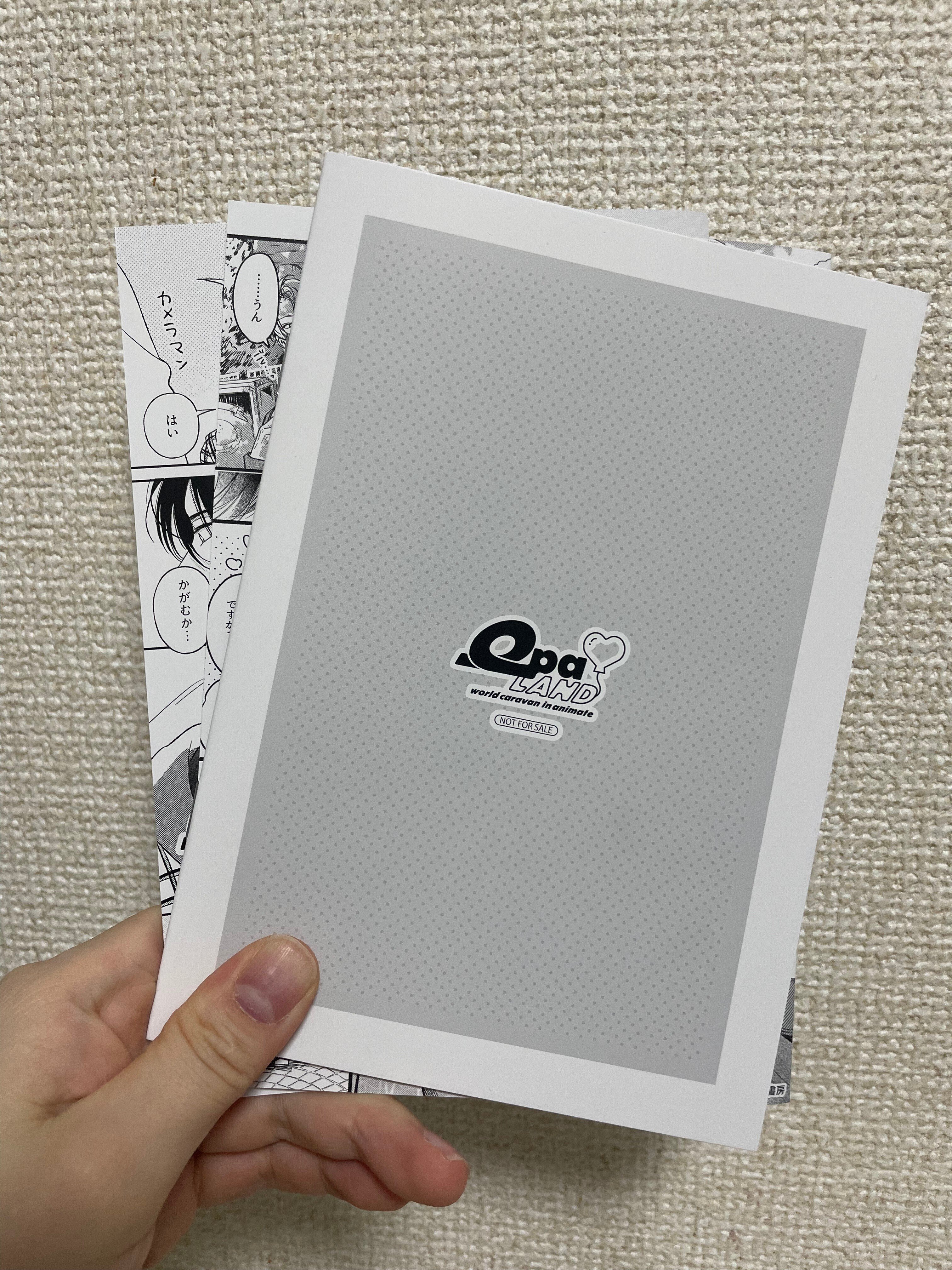 きんとうか　アニメイト特典小冊子「宗定編」 きんとうか アニメイト特典小冊子「宗定編」