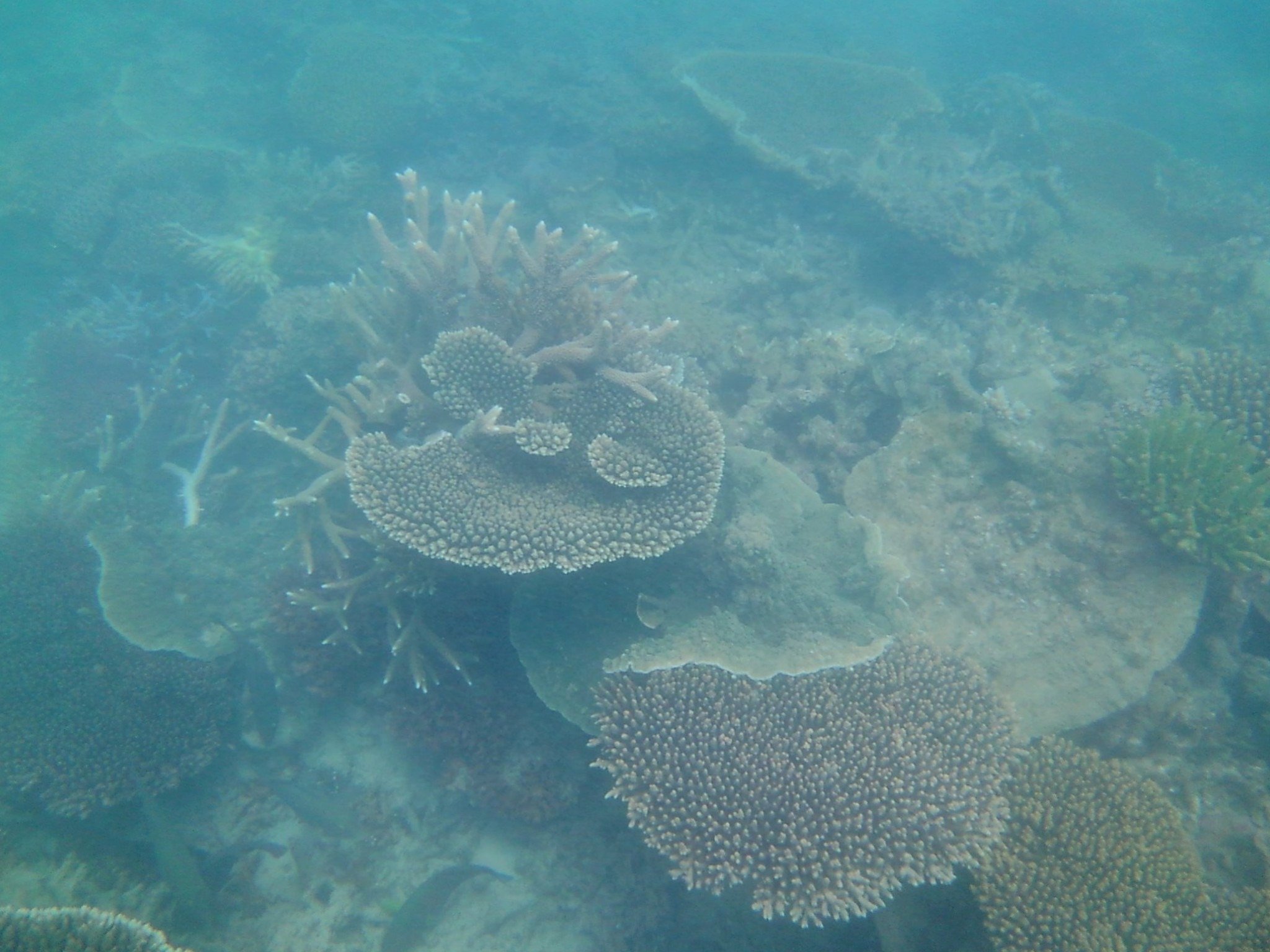 シュノーケリングベストとマスク4人用とおまけ