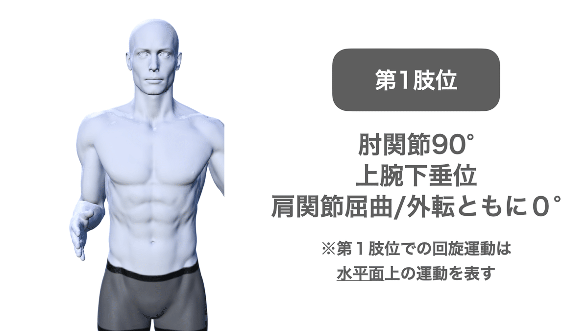 PNFの治療技術 ： 臨床応用編 2 「 肩関節へのアプローチ