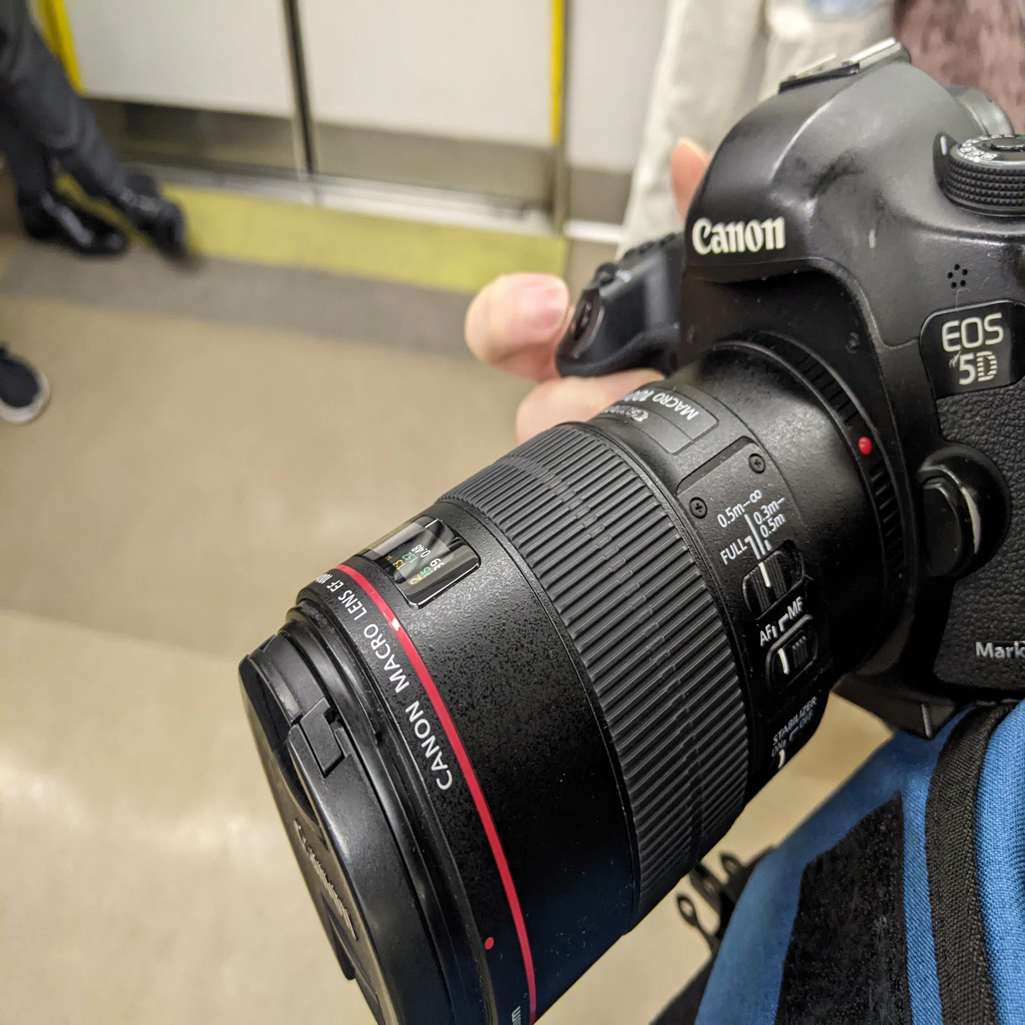 24.好きなレンズと焦点距離を語ってみる②「EF100mm F2.8L macro IS 