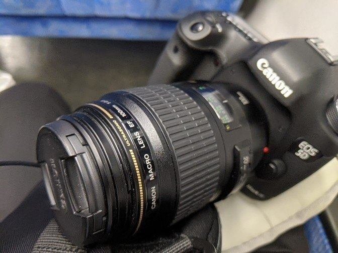 24.好きなレンズと焦点距離を語ってみる②「EF100mm F2.8L macro 24.好きなレンズと焦点距離を語ってみる②「EF100mm F2.8L macro