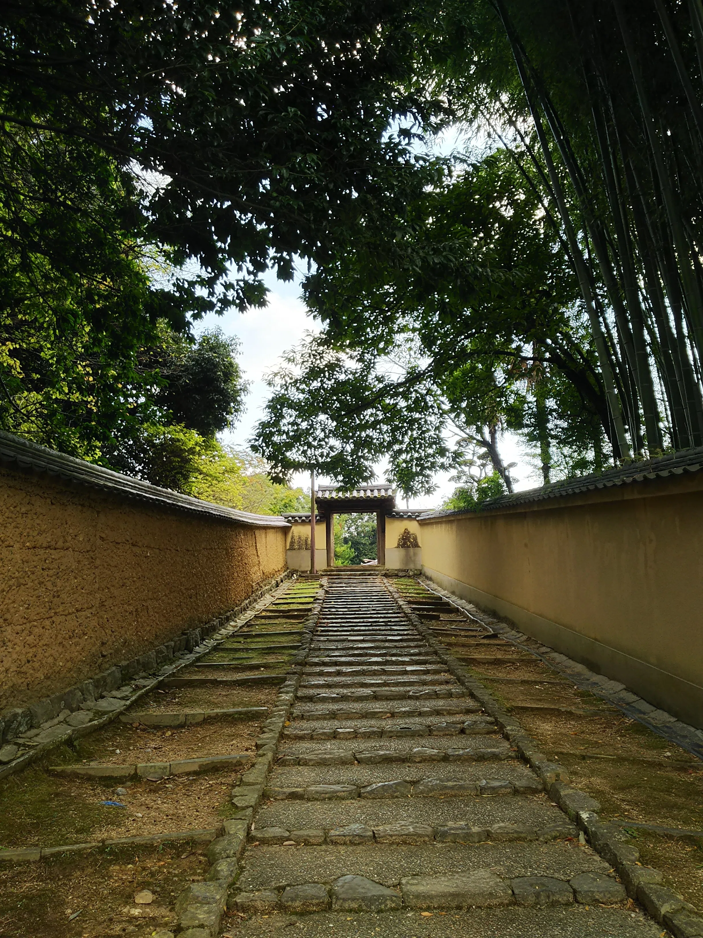奈良紀行 2023秋~② 東大寺さんぽ｜つきふね