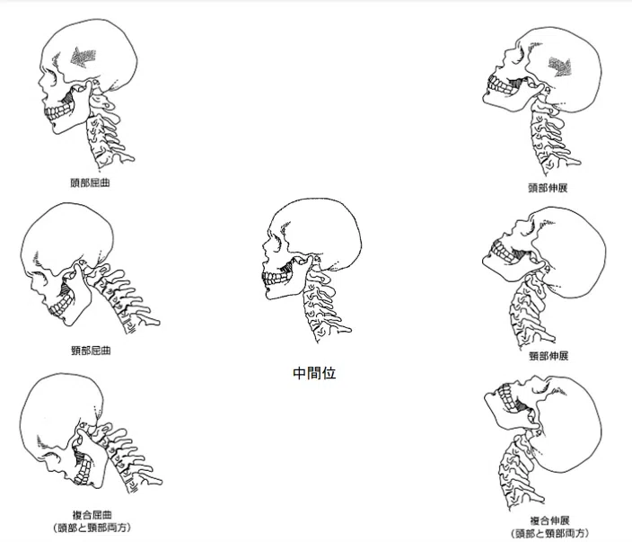 頸部の評価⑤｜加藤淳
