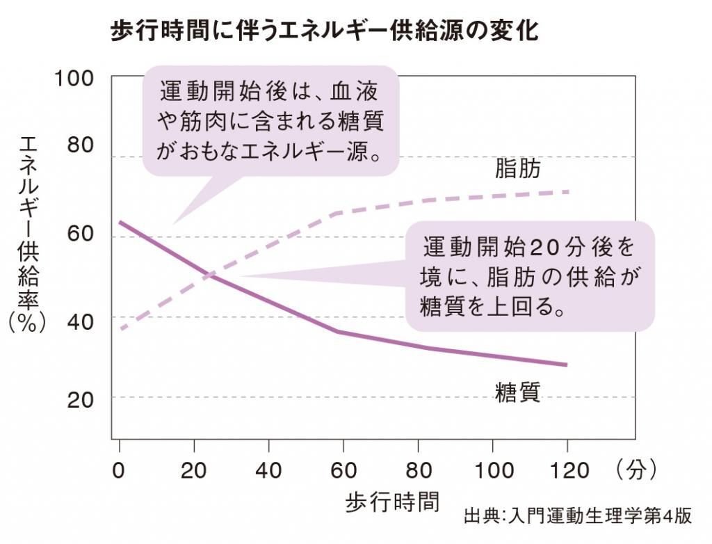 今度こそダイエット」と誓った人必読！筋トレに最適な時間帯は？脂肪
