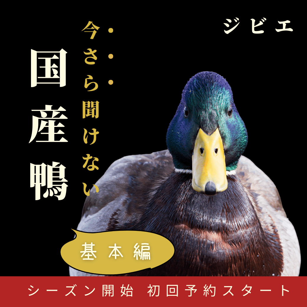 鴨の剥製(対) 今さら聞けない○○シリーズ【国産ジビエ 鴨〜基本編〜】読んで学ぶ