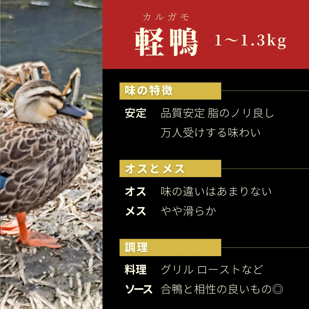 今さら聞けない○○シリーズ【国産ジビエ 鴨〜基本編〜】読んで学ぶ