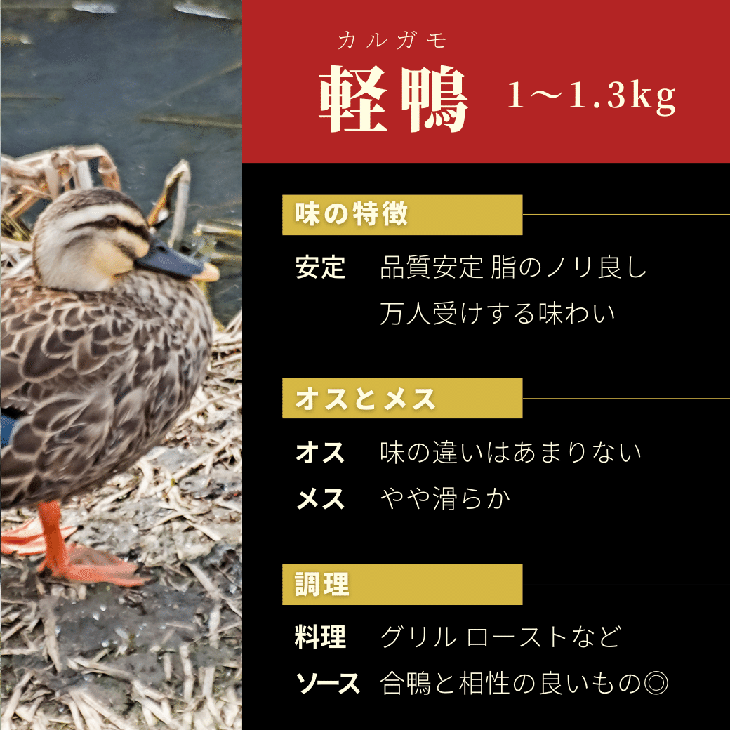 今さら聞けない○○シリーズ【国産ジビエ 鴨〜基本編〜】読んで学ぶ