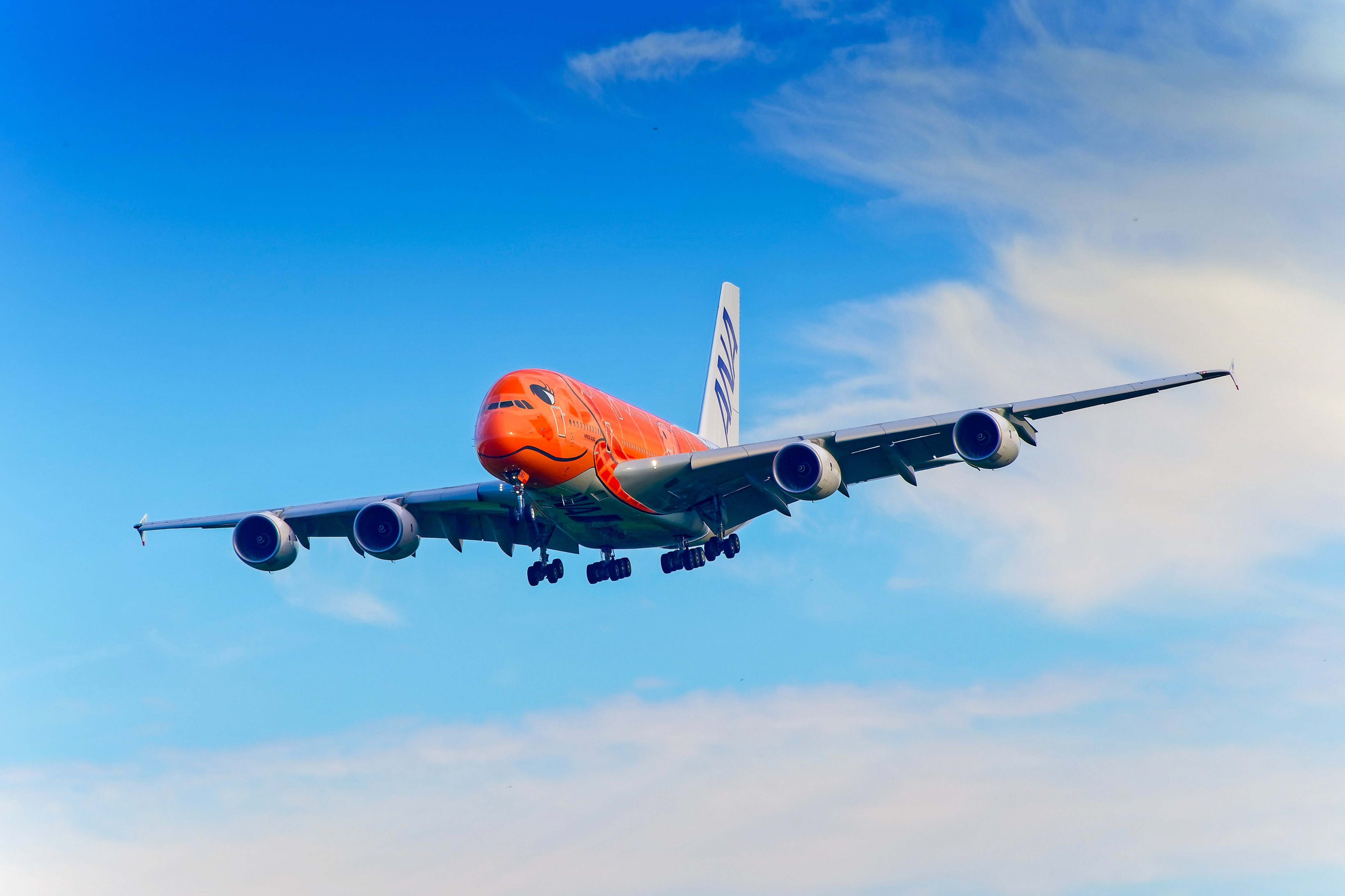 ハワイ専用飛行機のフライングホヌ「カイくん」がお散歩飛行へ
