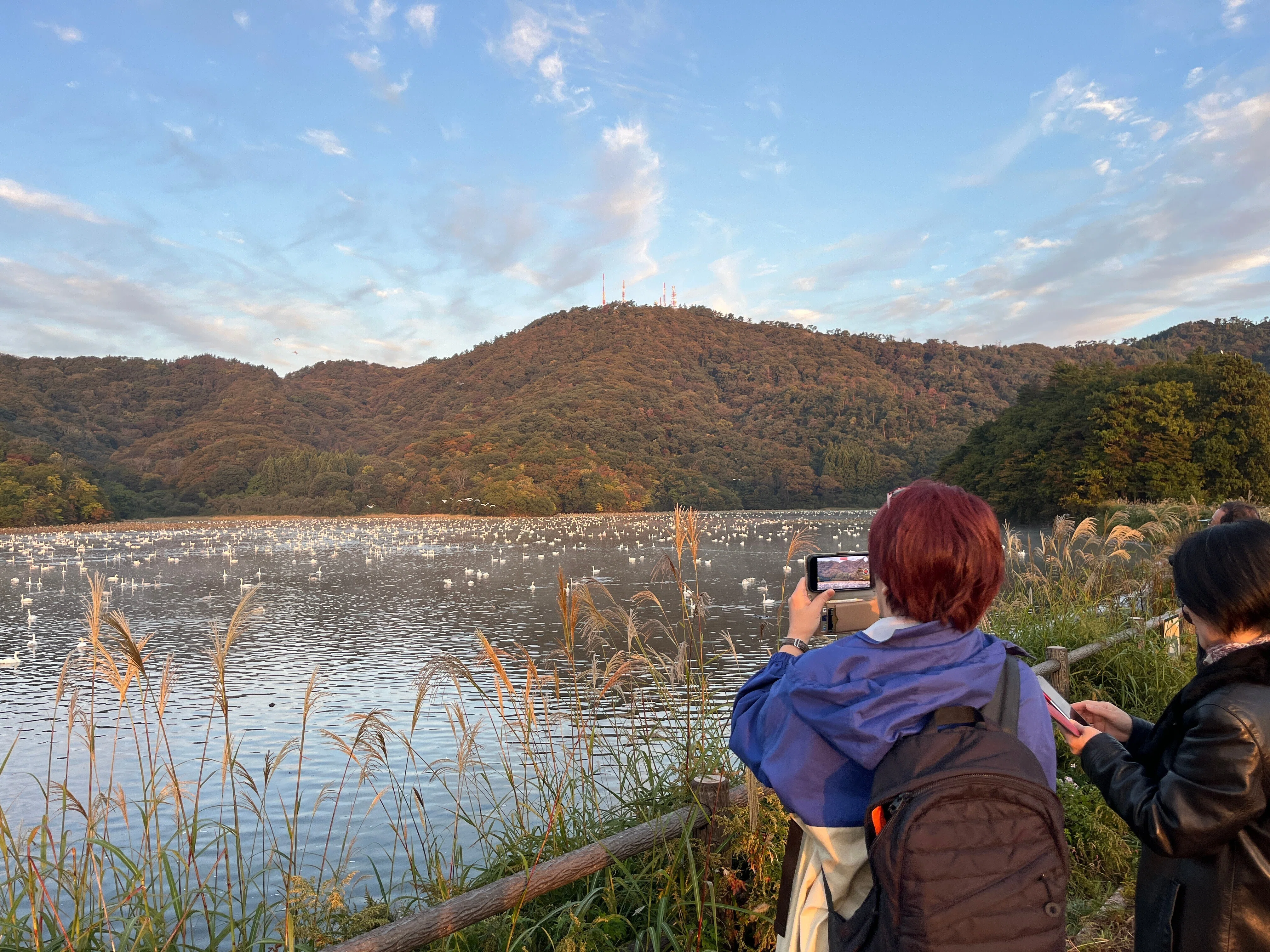 白鳥の湖でパワーをもらう｜長岡太郎 | 庄内から希望を生み出す