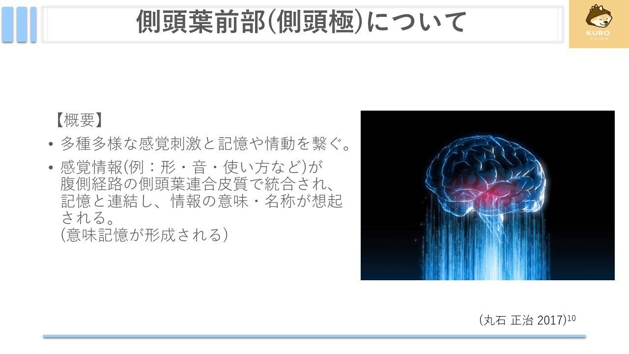 脳の形態と機能 : 画像医学の進歩 コホートのご紹介 | 名古屋大学 脳とこころの研究センター