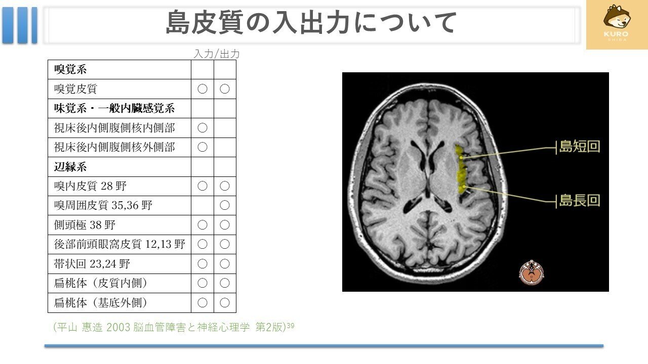 鉤状束について｜くろ 作業療法士