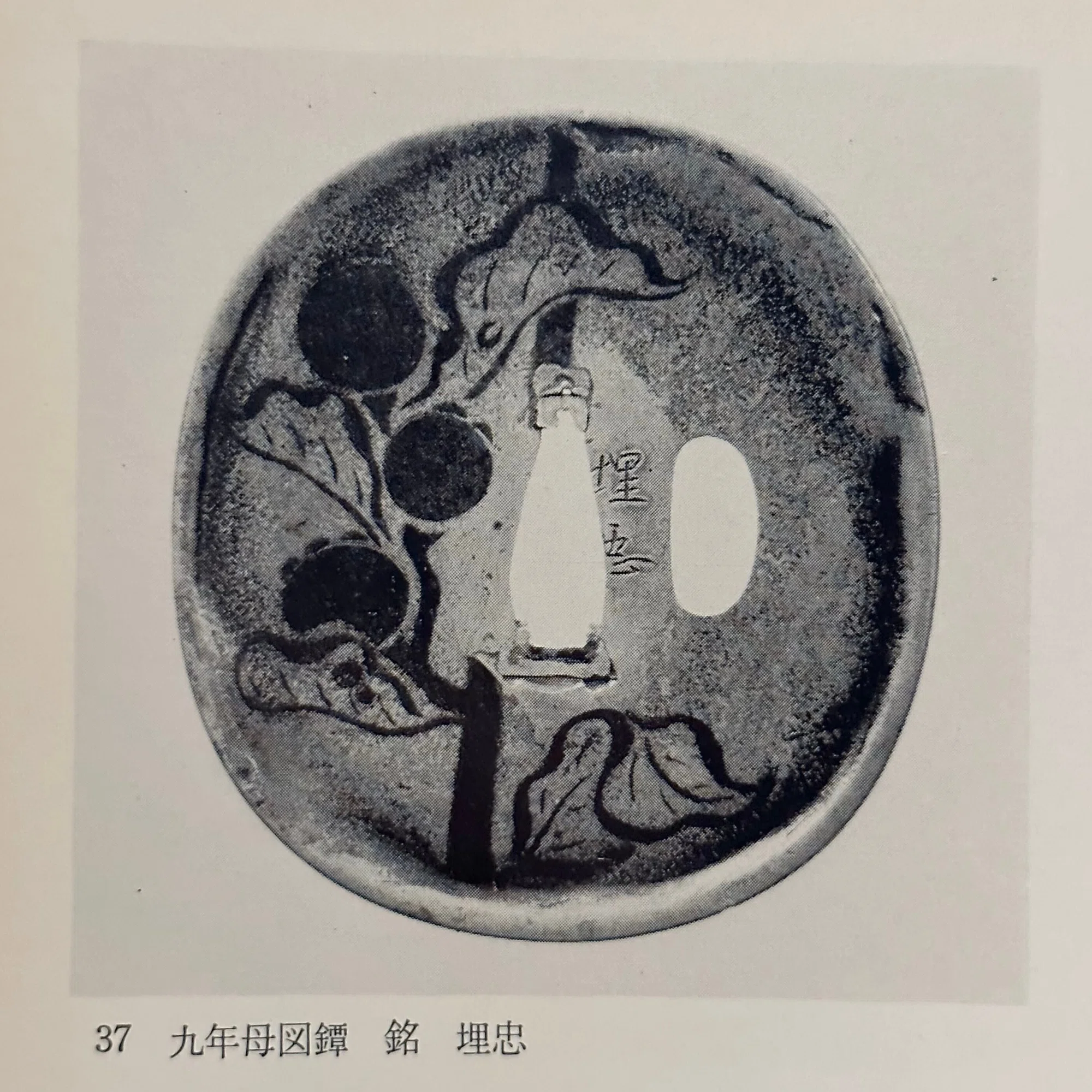 埋忠明寿以外の九年母図鐔の作柄について｜刀箱師の日本刀ブログ 中村圭佑
