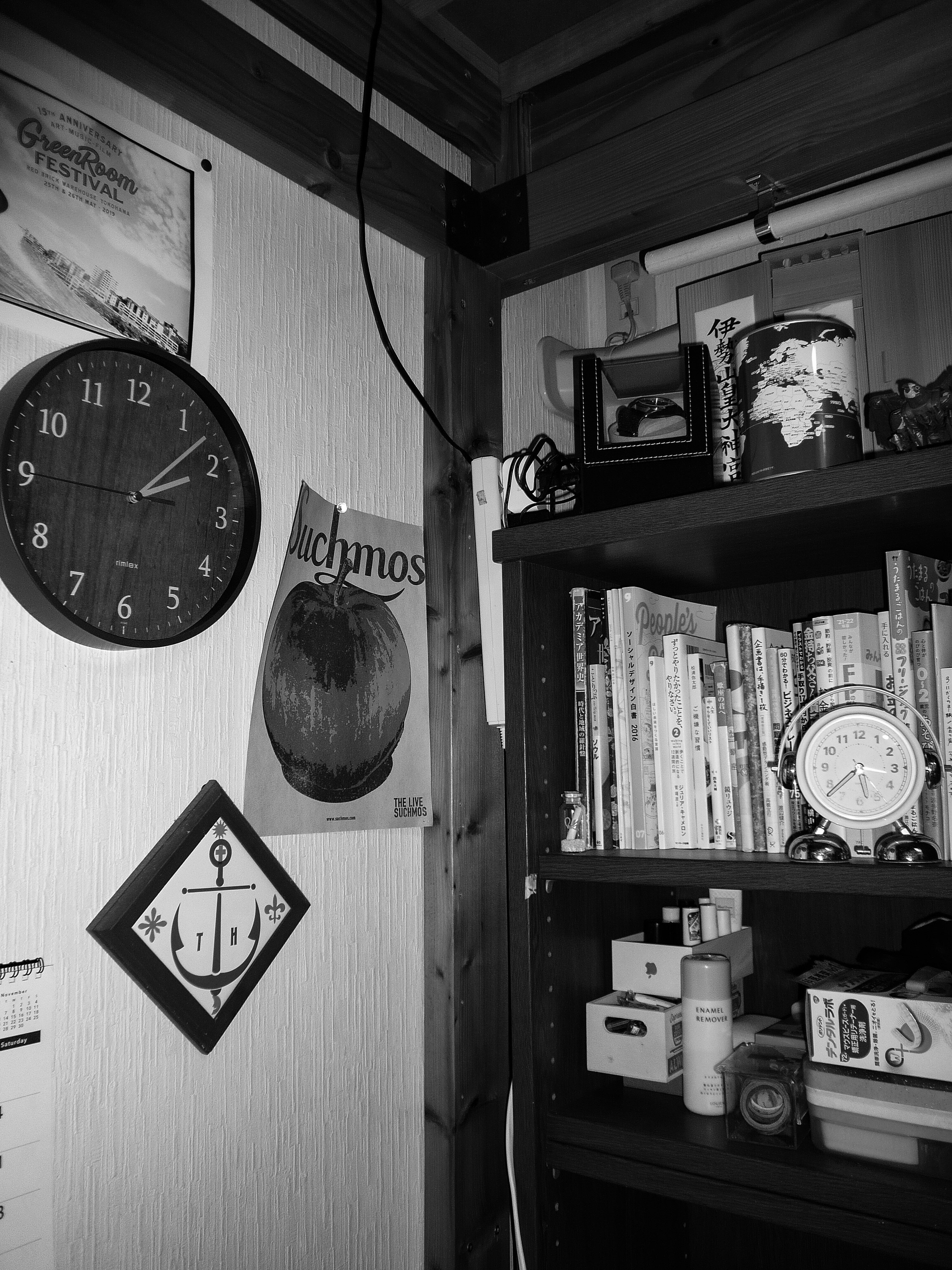 オールドコンデジLUMIX DMC-FX100で撮る現代｜はなスタ| 記録のデザイン